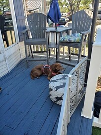 Watch dog