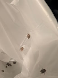 Eww