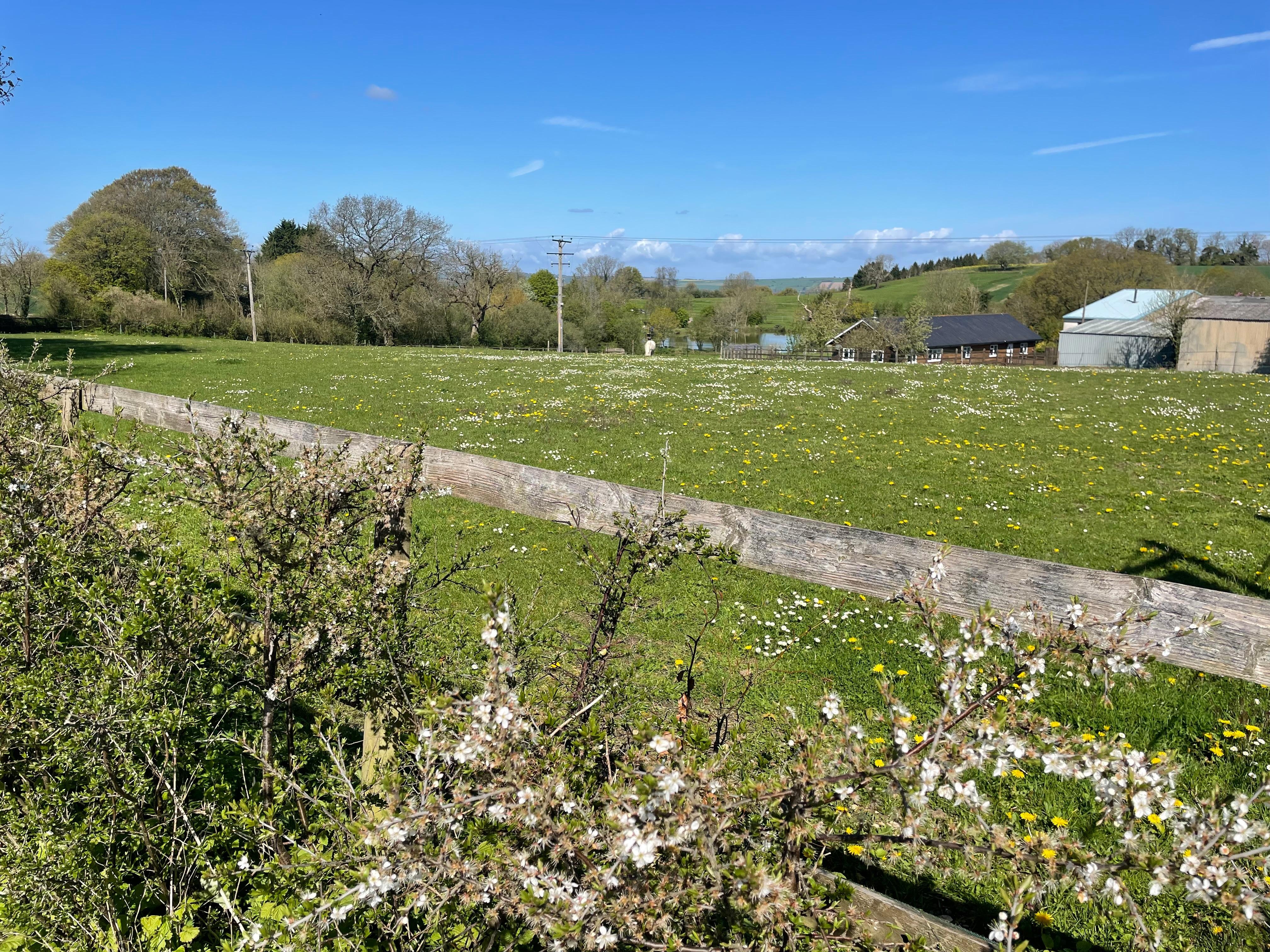 Walk to the bus stop