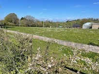 Walk to the bus stop