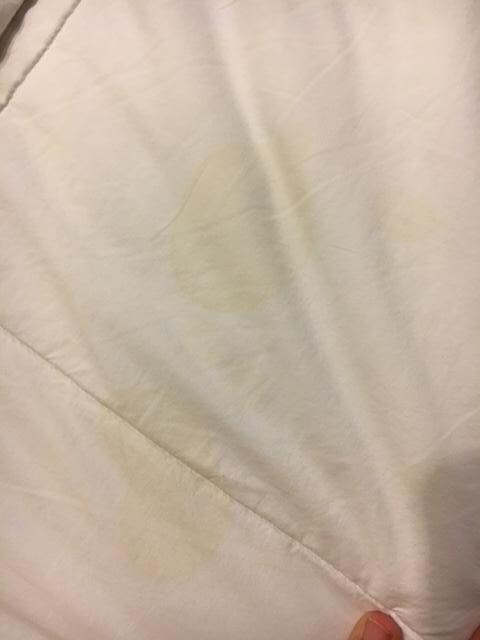 bug in bathroom