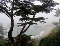 Foggy mornings