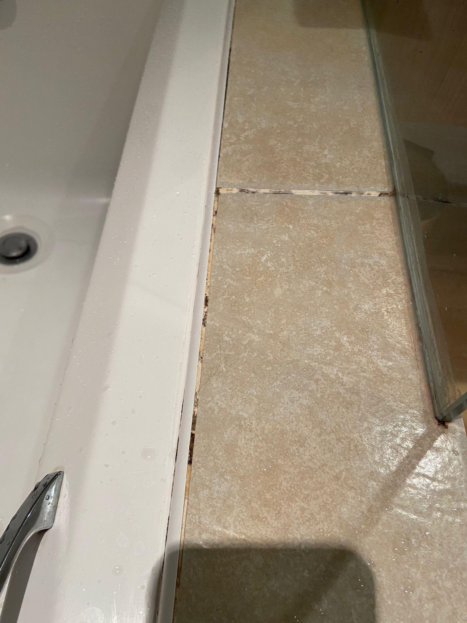 Black mold all over the shower