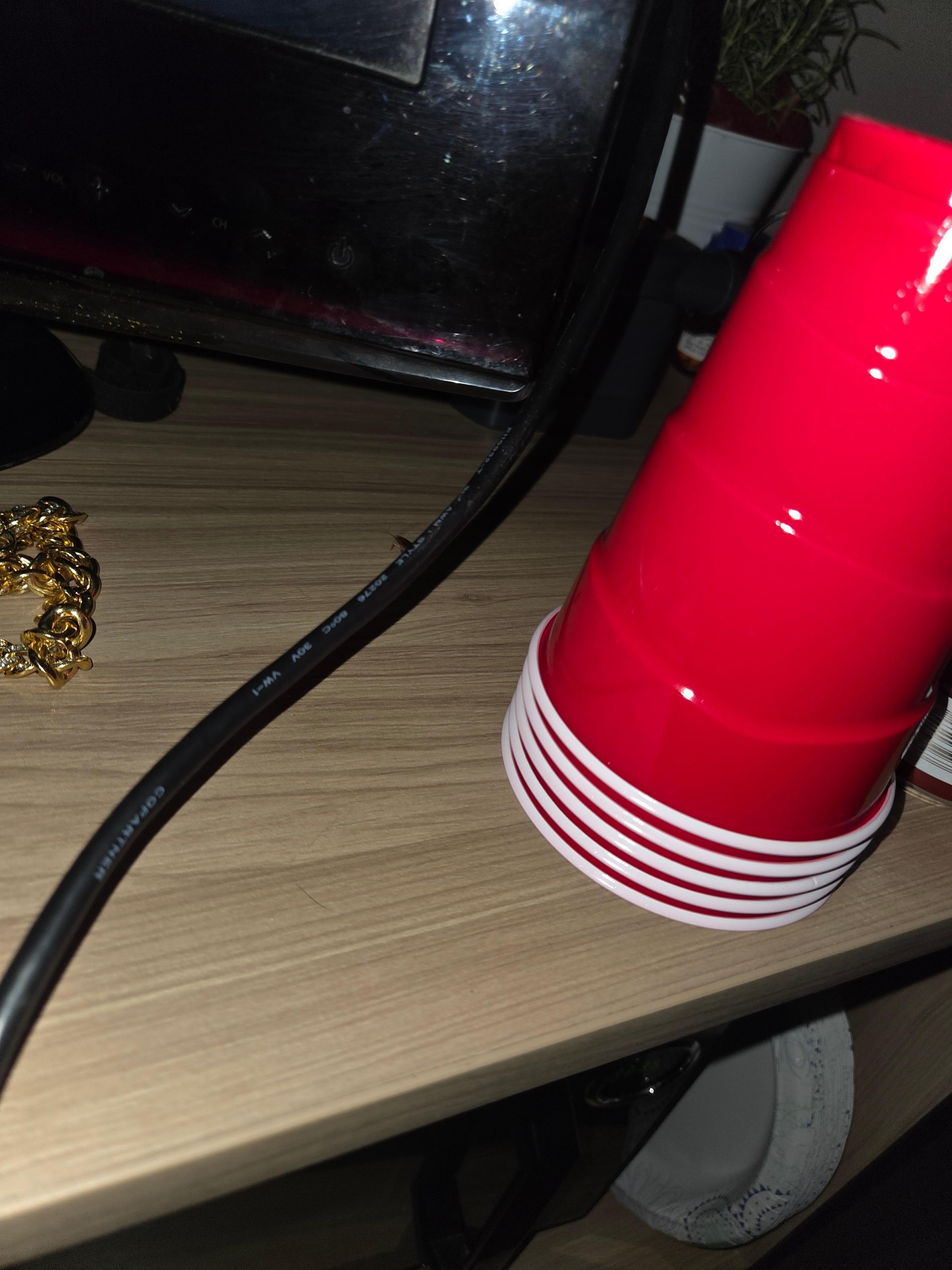 Cockroaches in tv and fridge microwave area