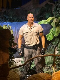 The Rock