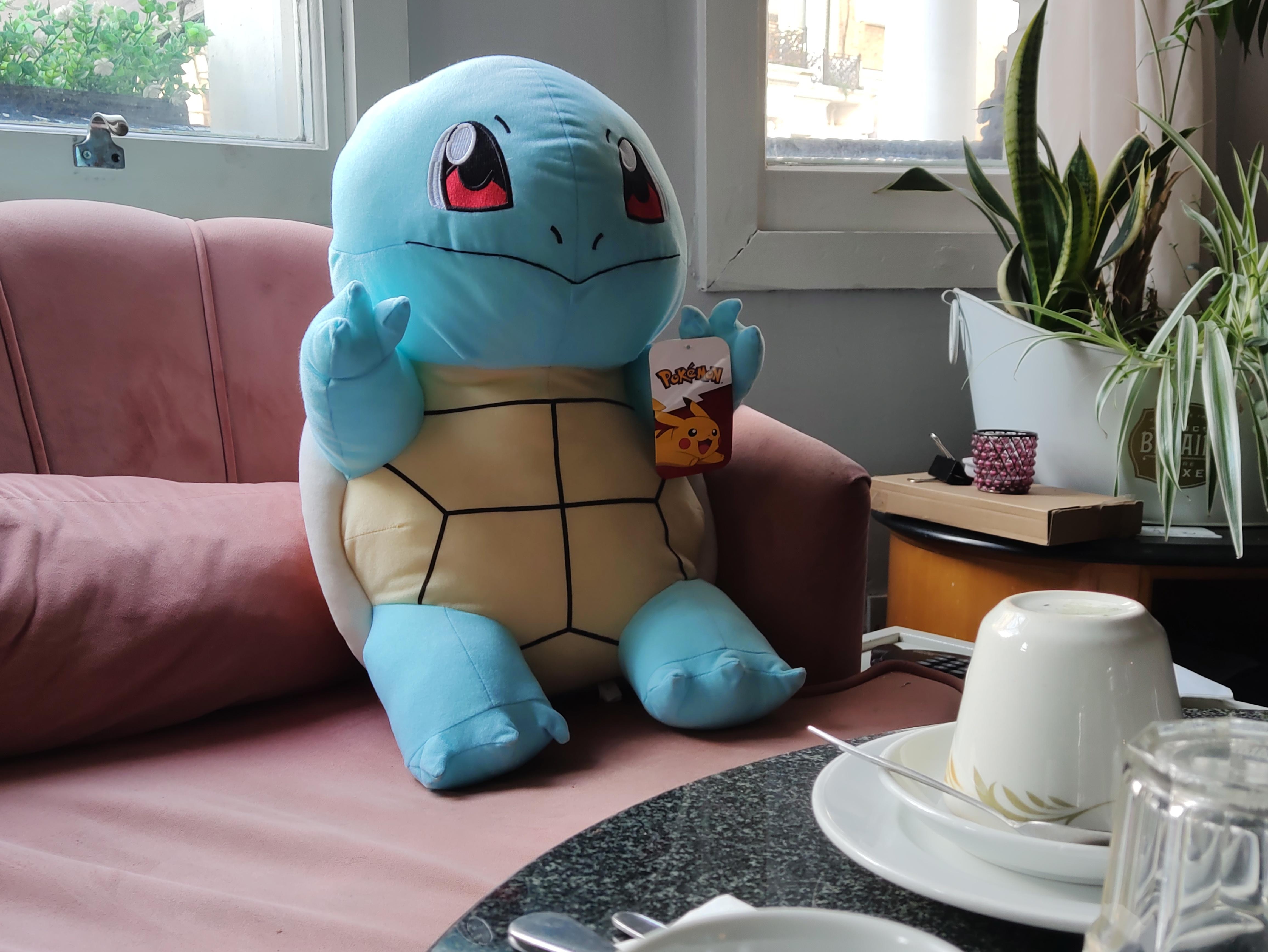 A friendly Squirtle greets you in the living room.