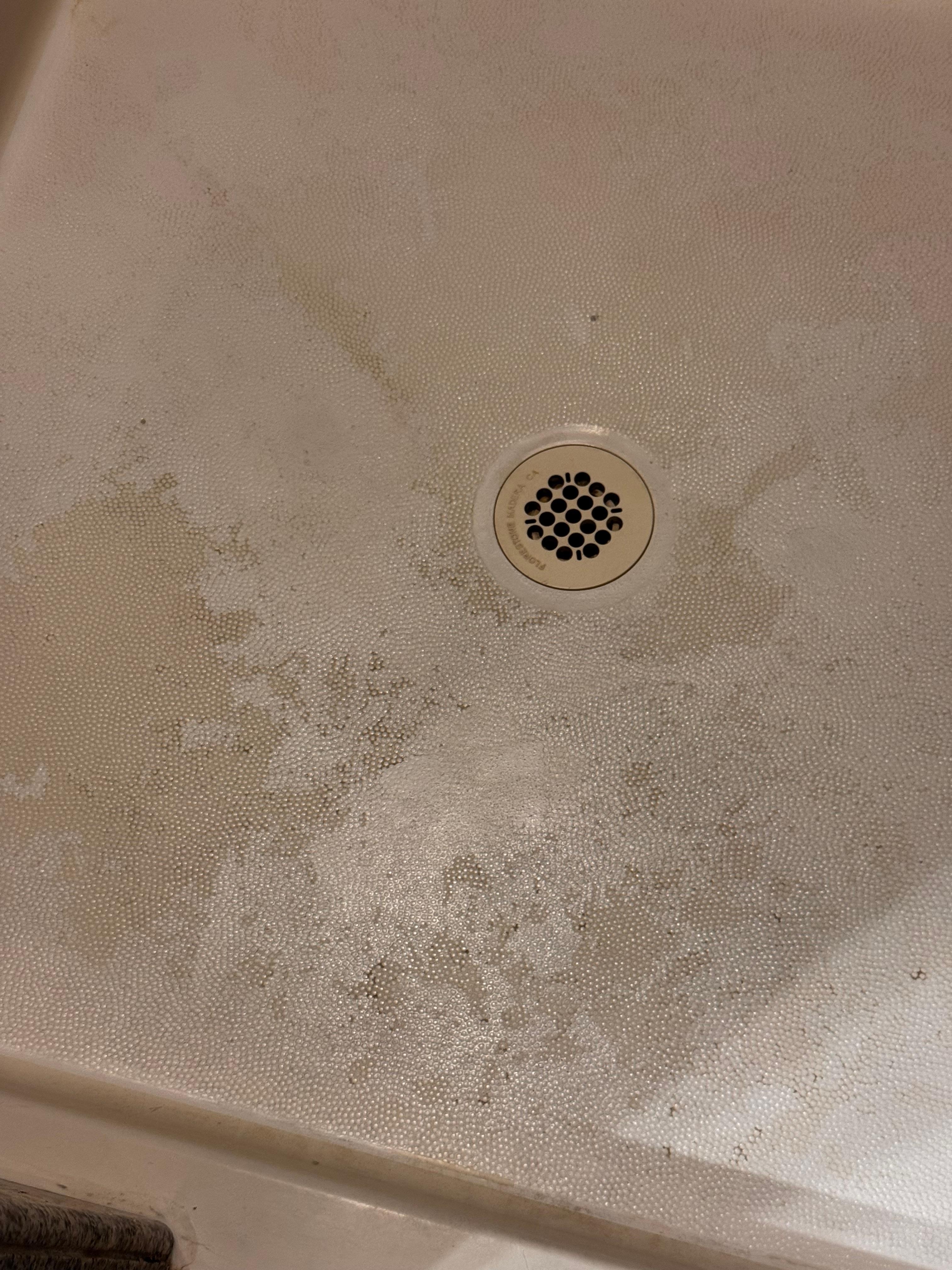 Shower floor