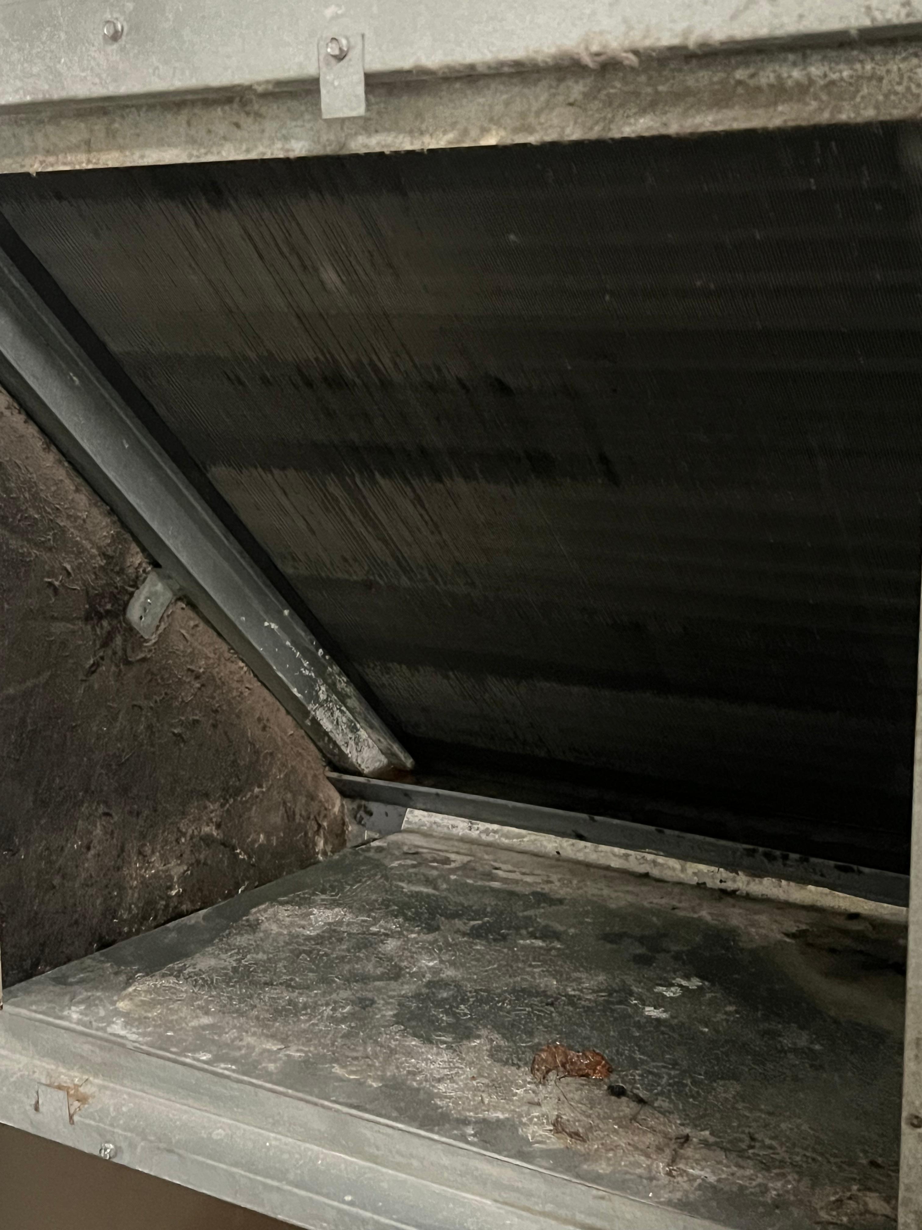 Black mold on HVAC without a filter 