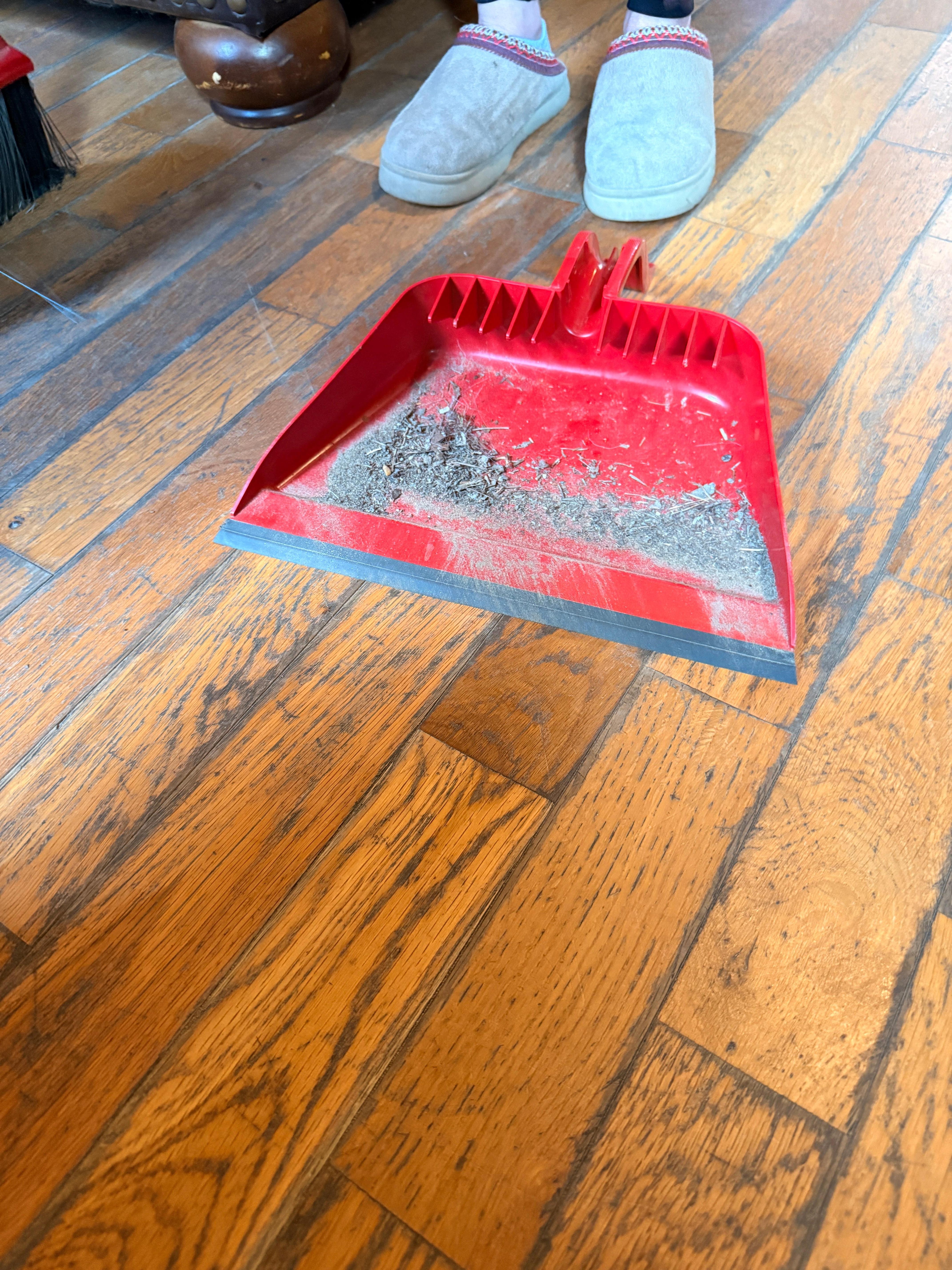 No one had swept in a while!