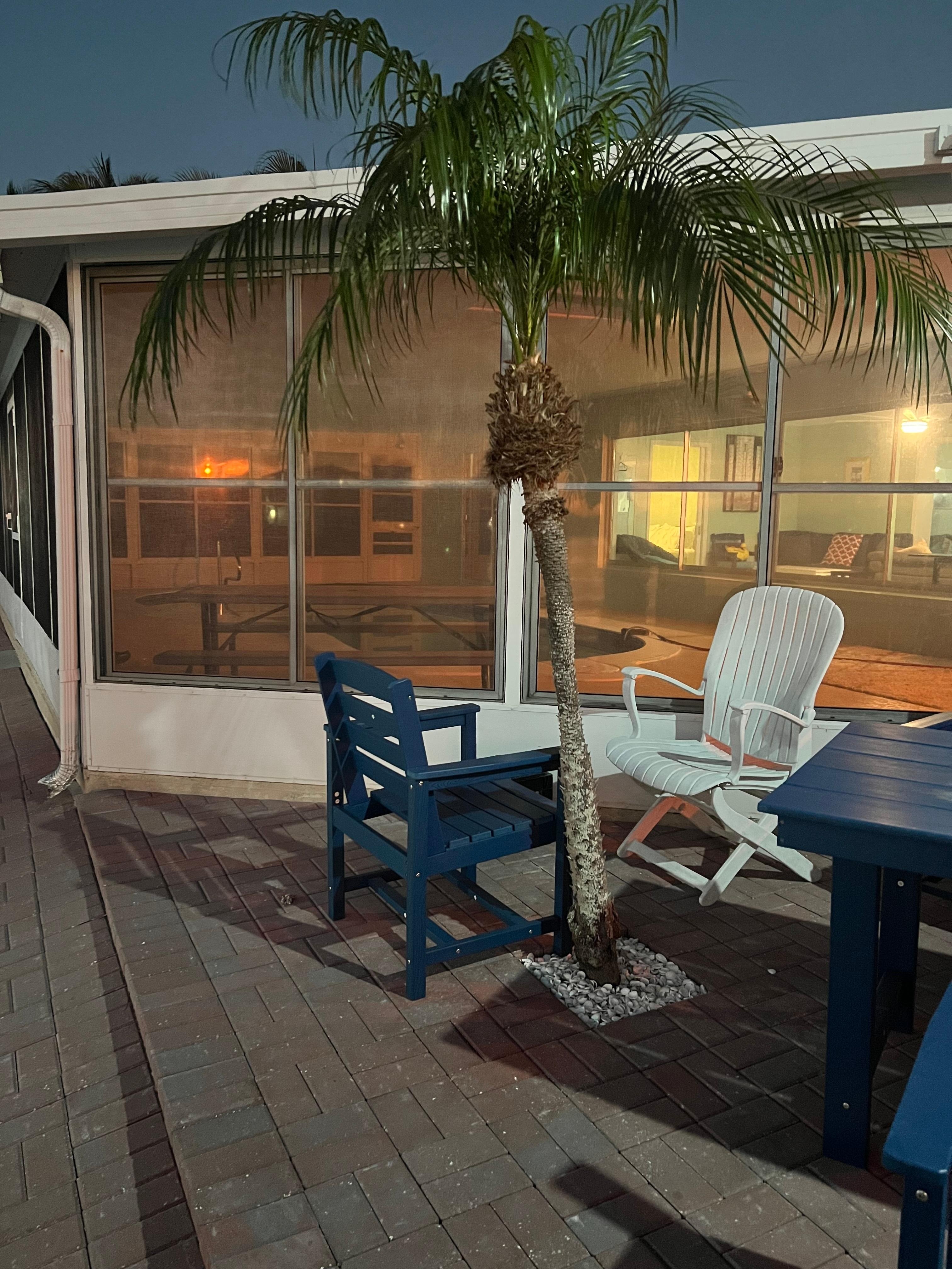 Loved our own personal palm tree!