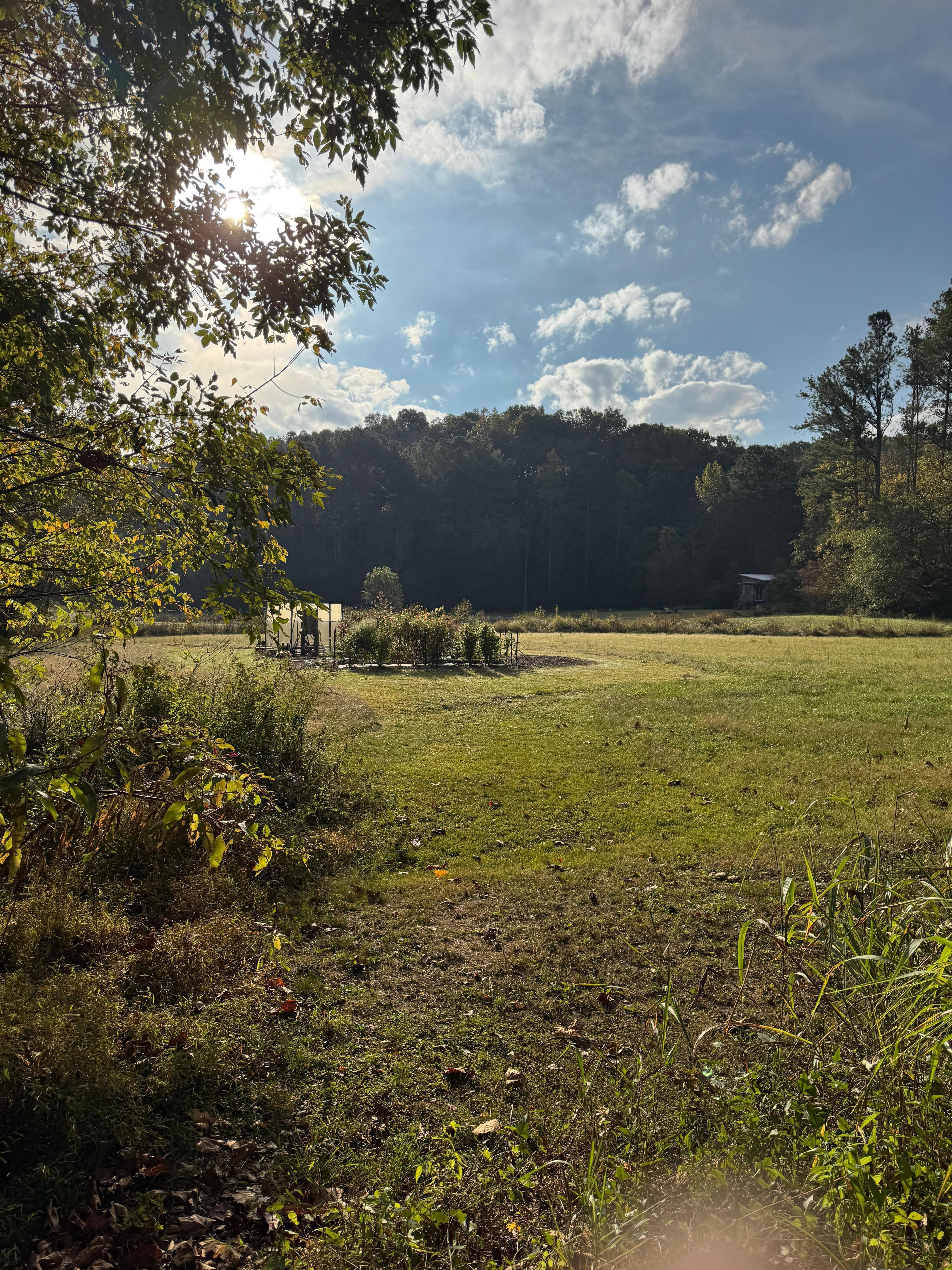 First sight of the cabin as you go in the property 