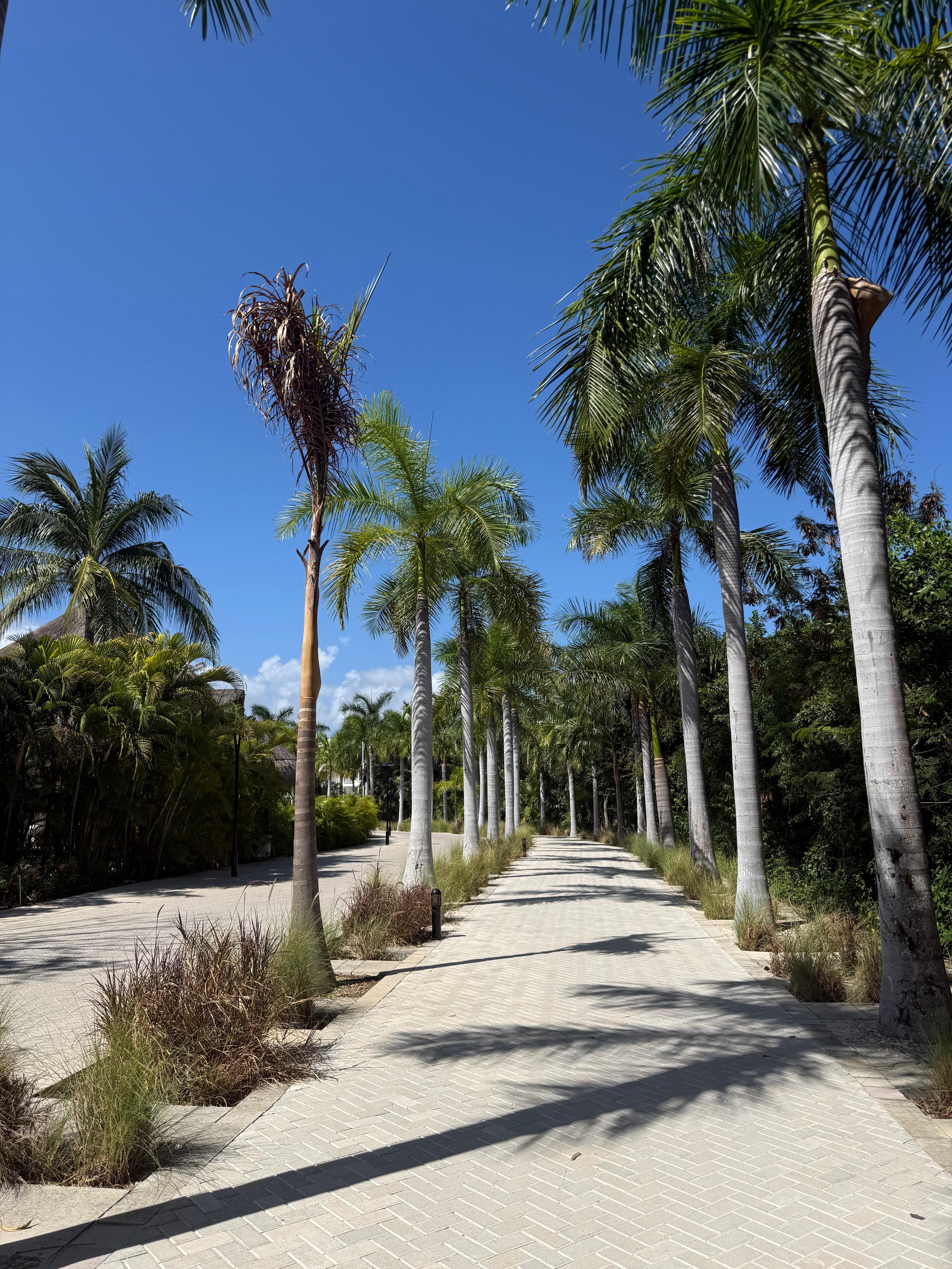 Our walk to the beach