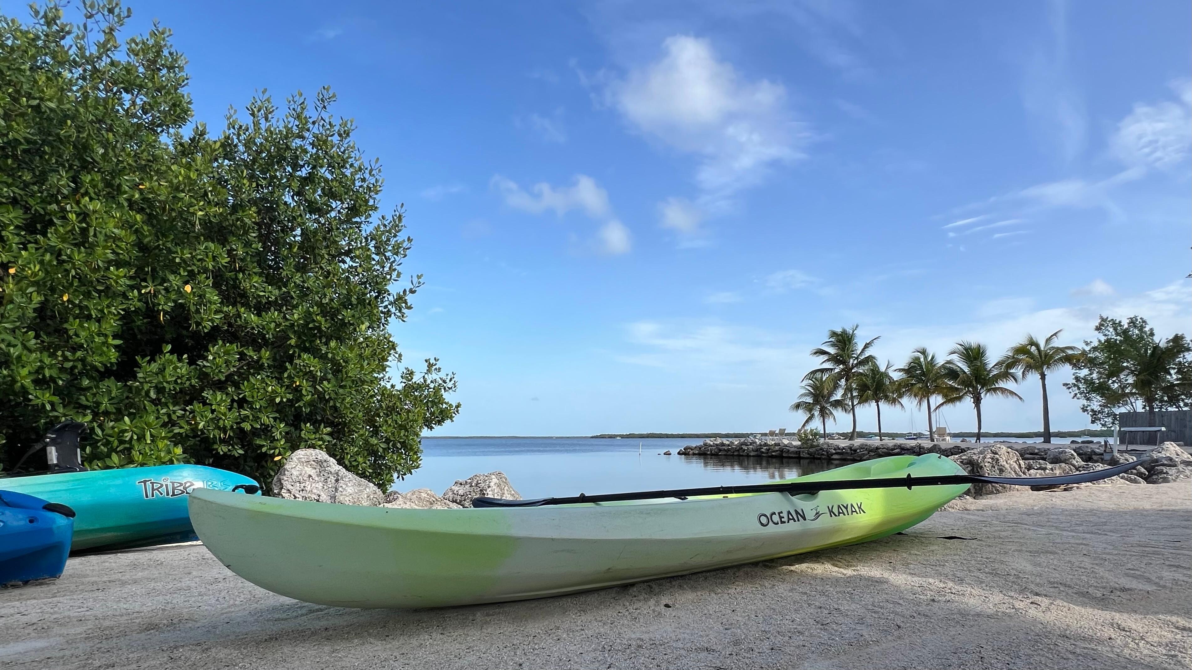 Free kayaks & paddleboards are available. 