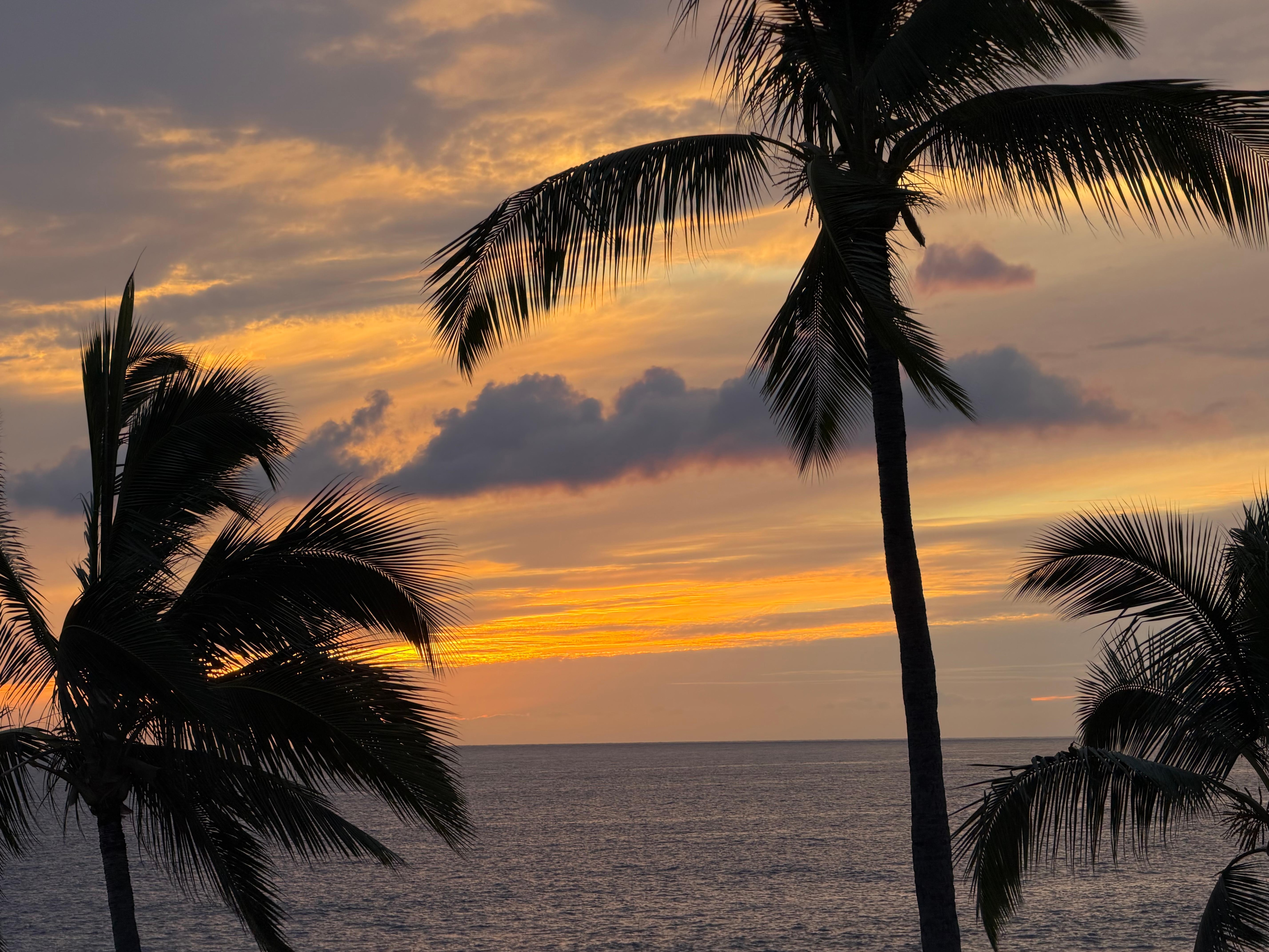 View from upper deck