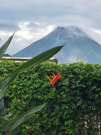 View from porch
