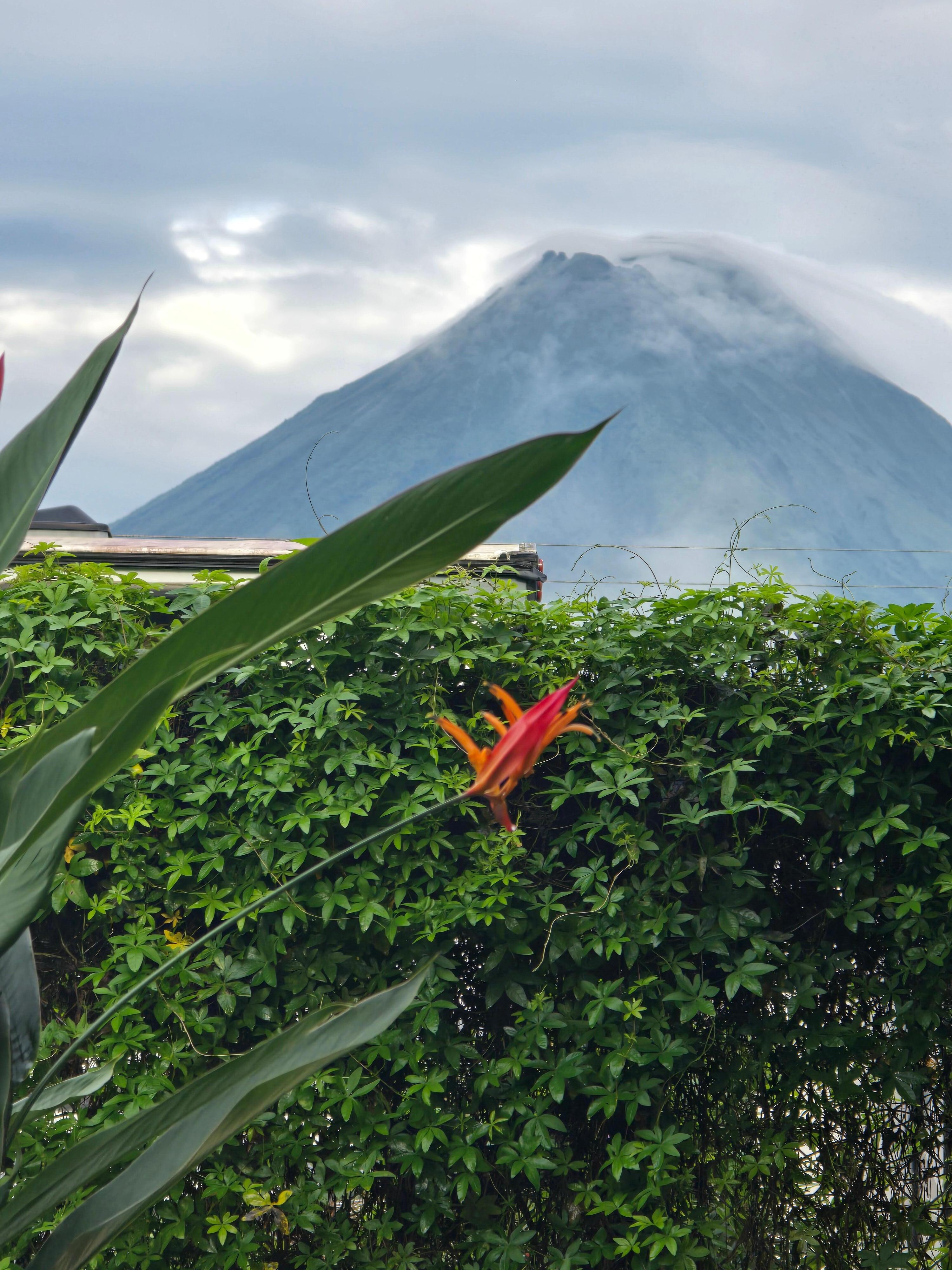 View from porch