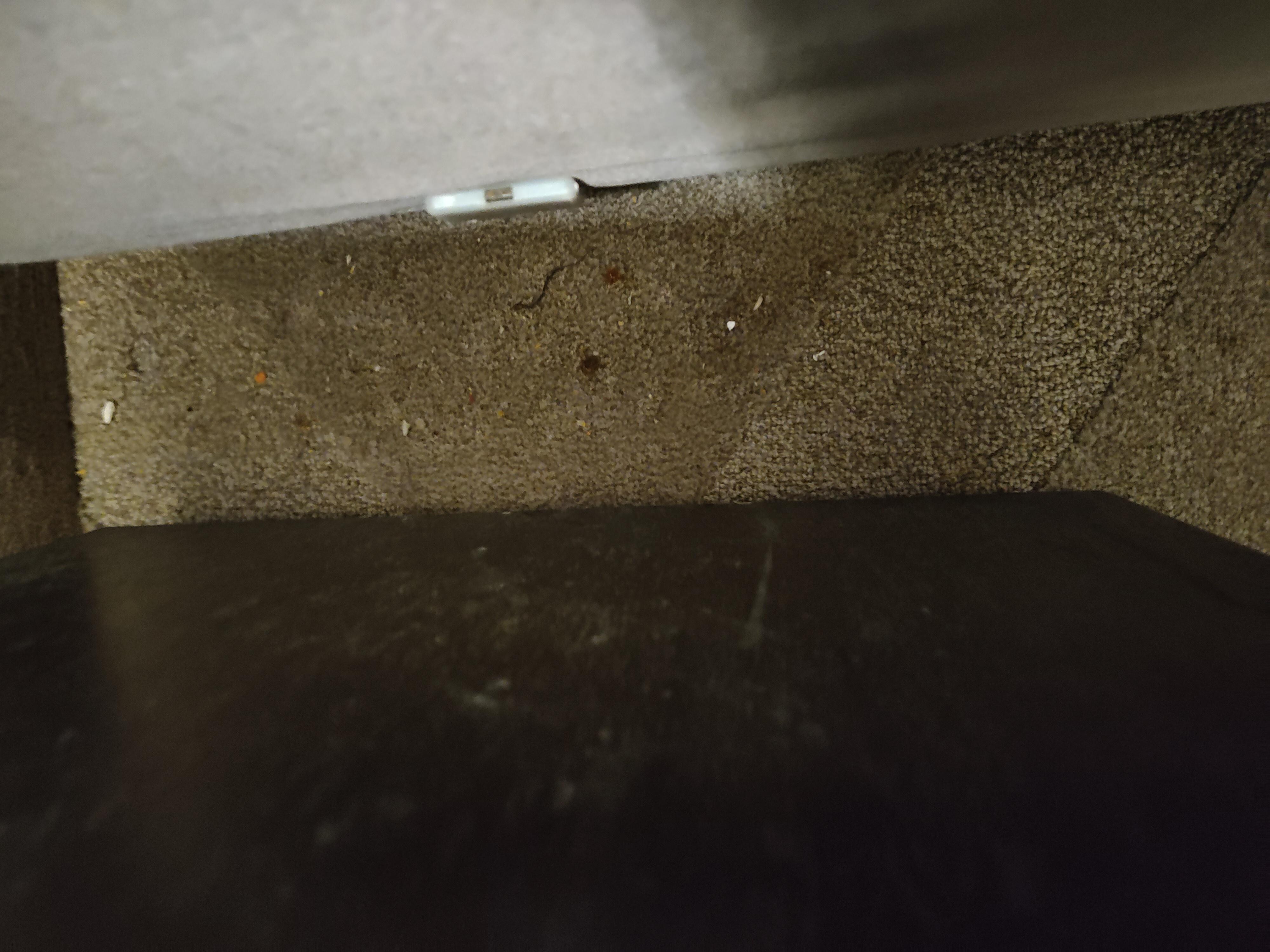 Carpet between the bed and night stand.