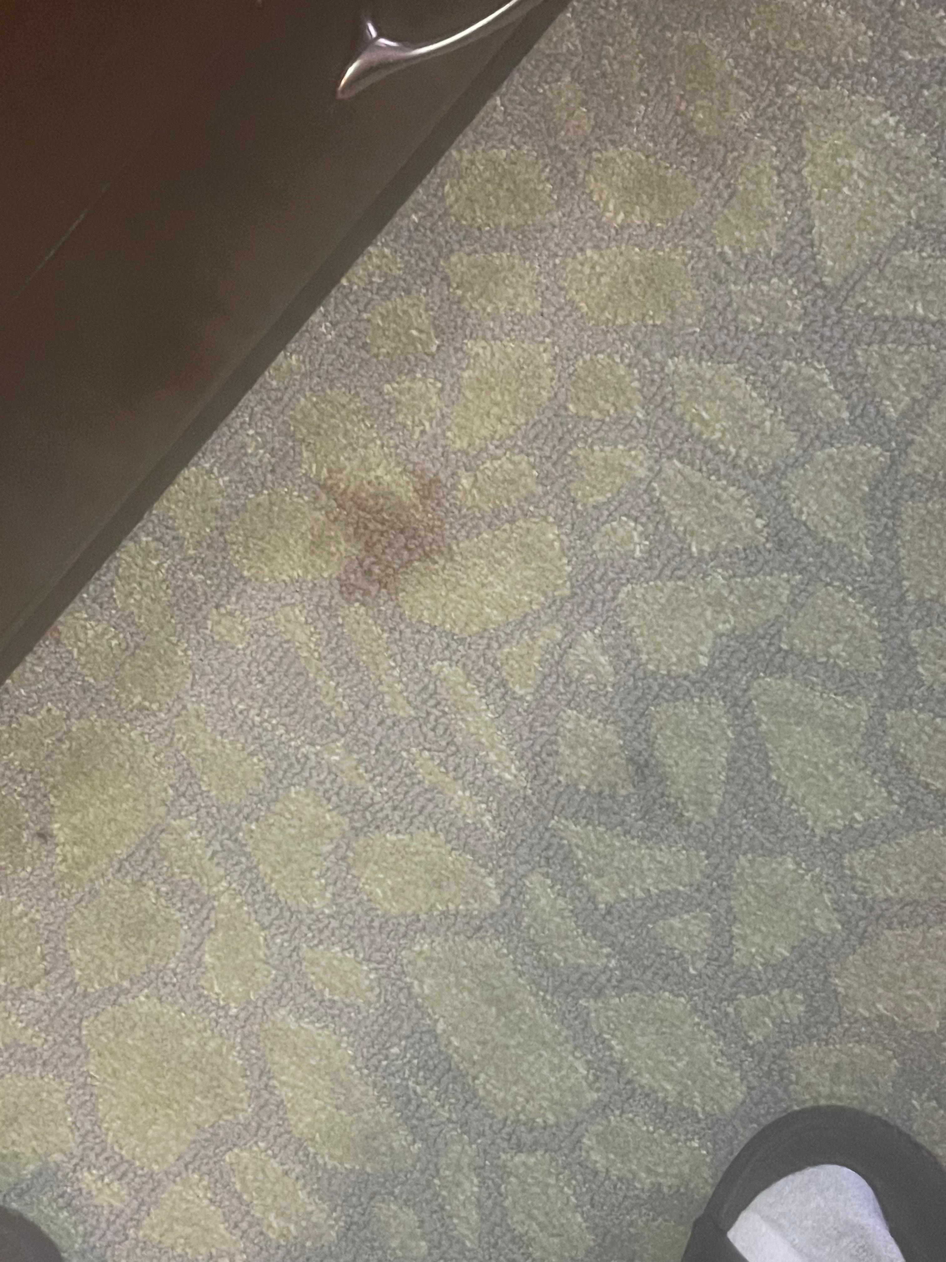 A blood stain on the floor