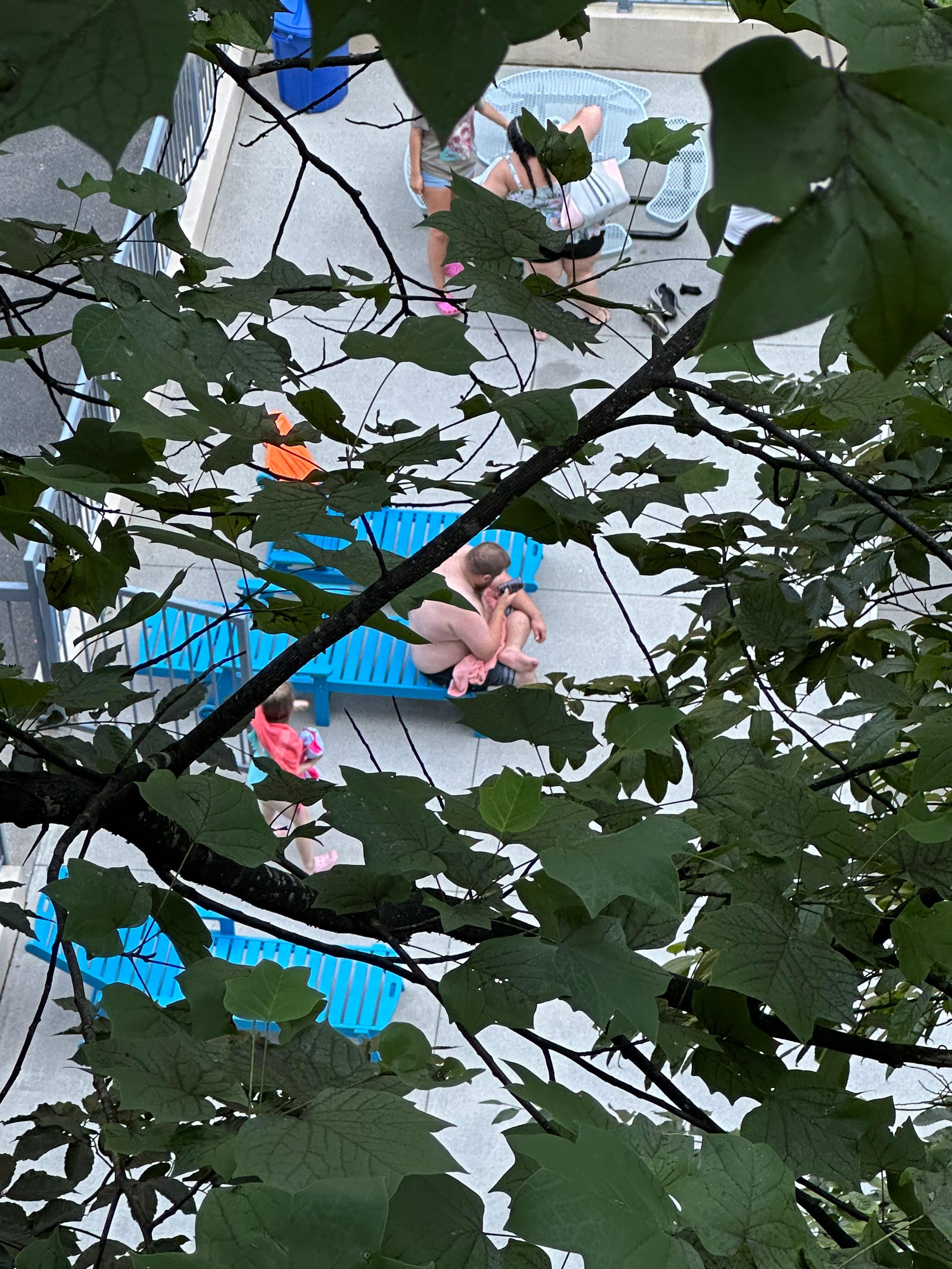 This is the “view” from the porch overlooking the pool. 