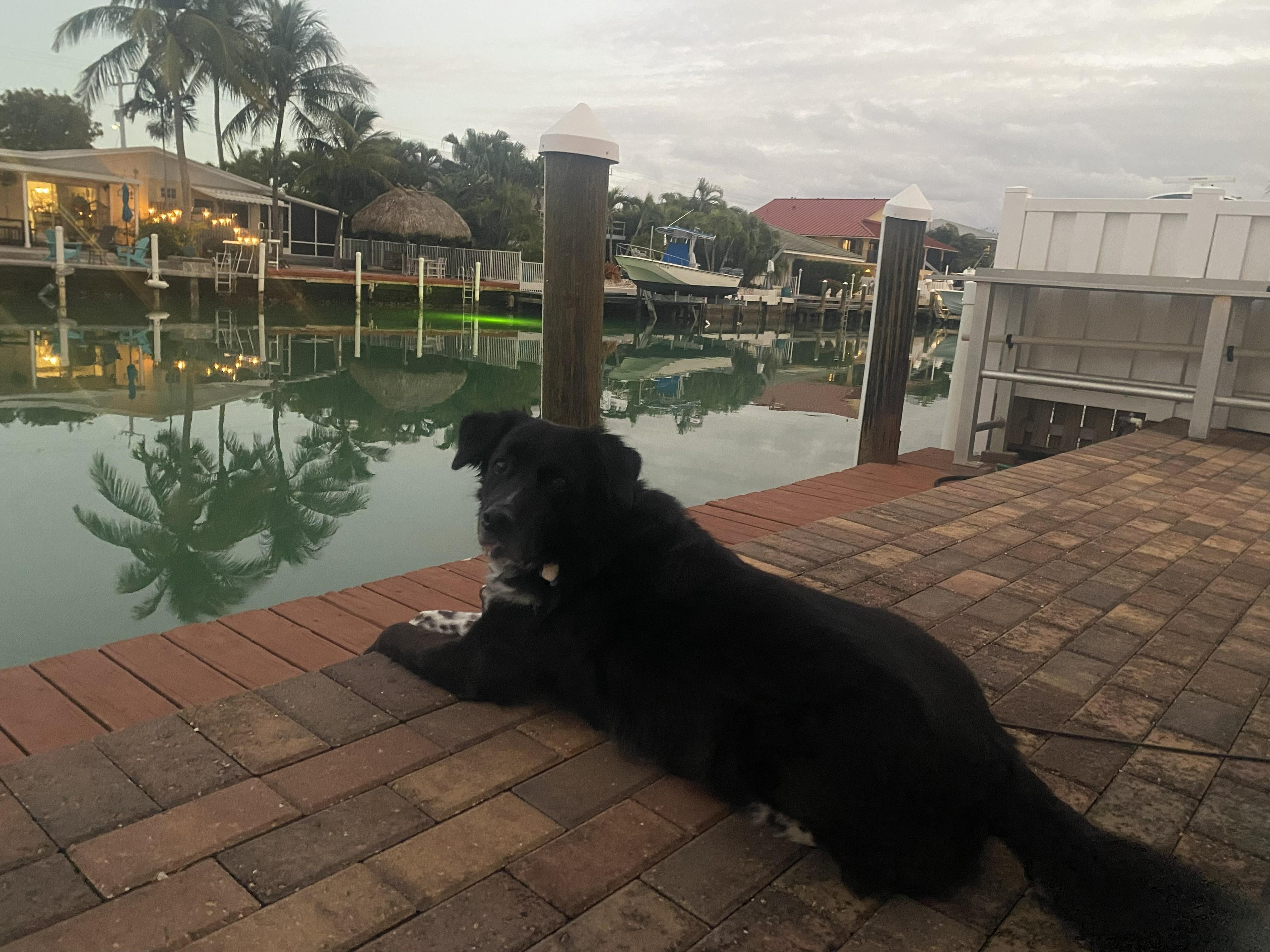 Living his best life