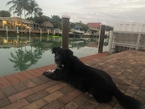 Living his best life