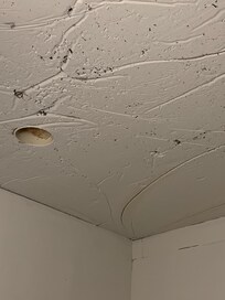 Looked like black mold hanging from the ceilings.