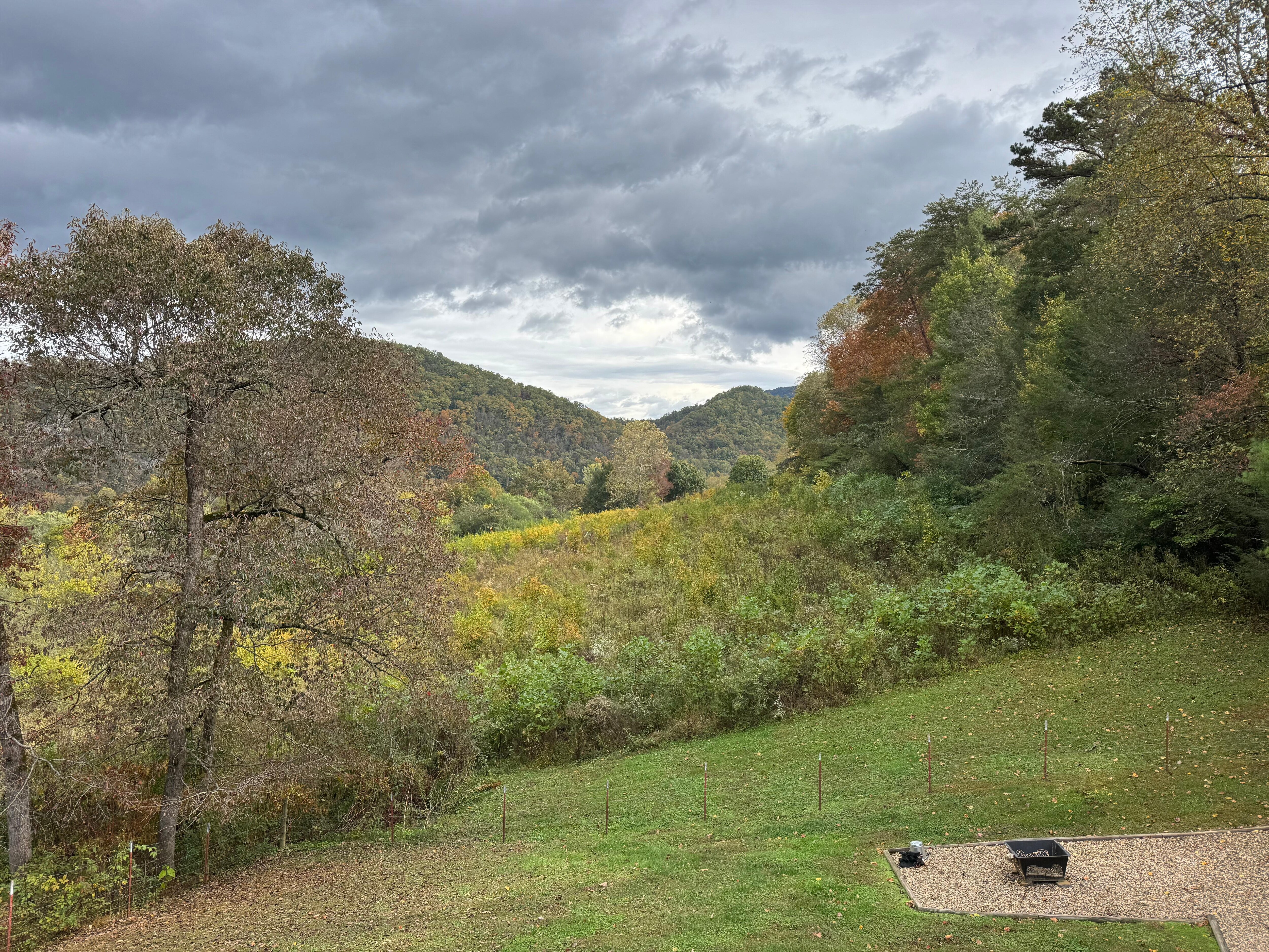 View from back porch