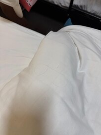 Hair and dirt at under the sheets near where feet would be.