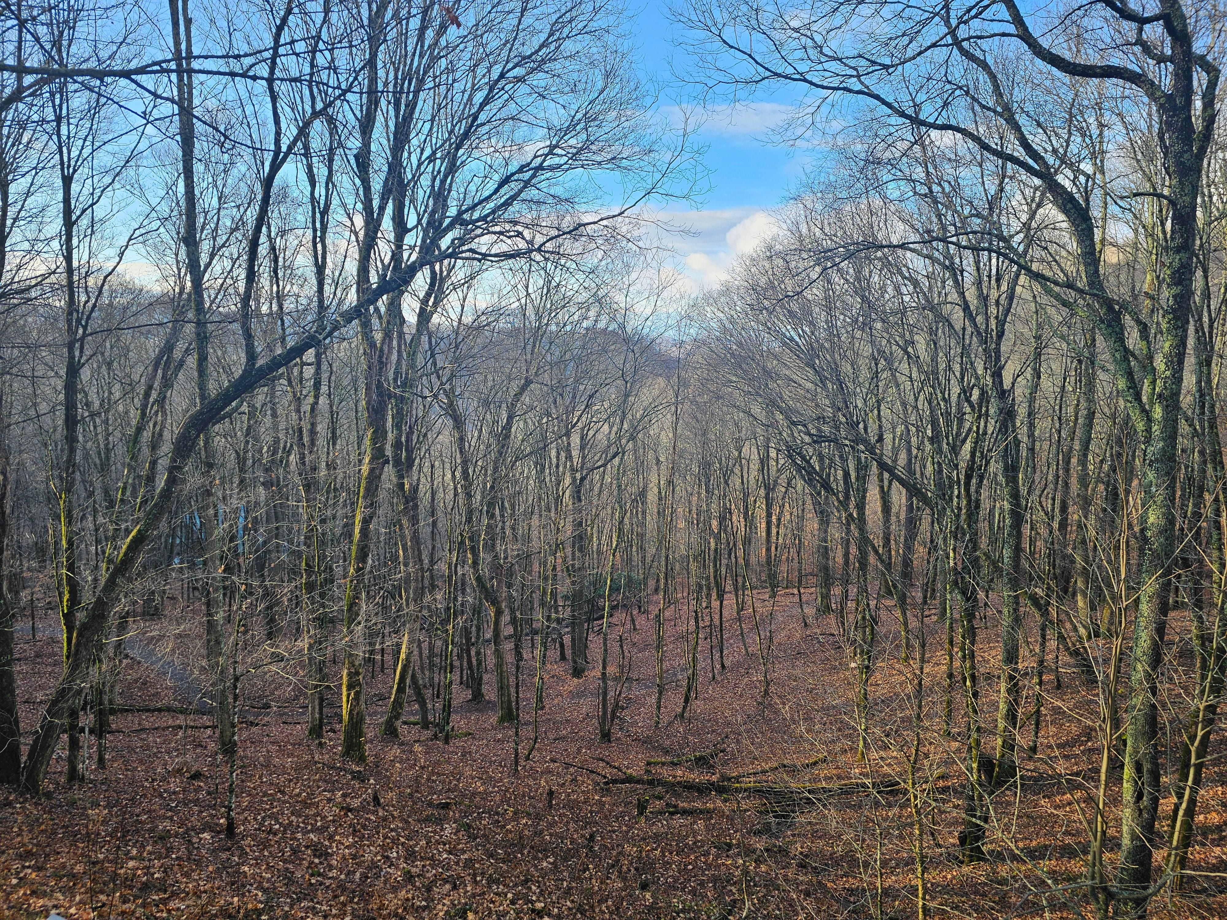 View from deck on a  November morning.