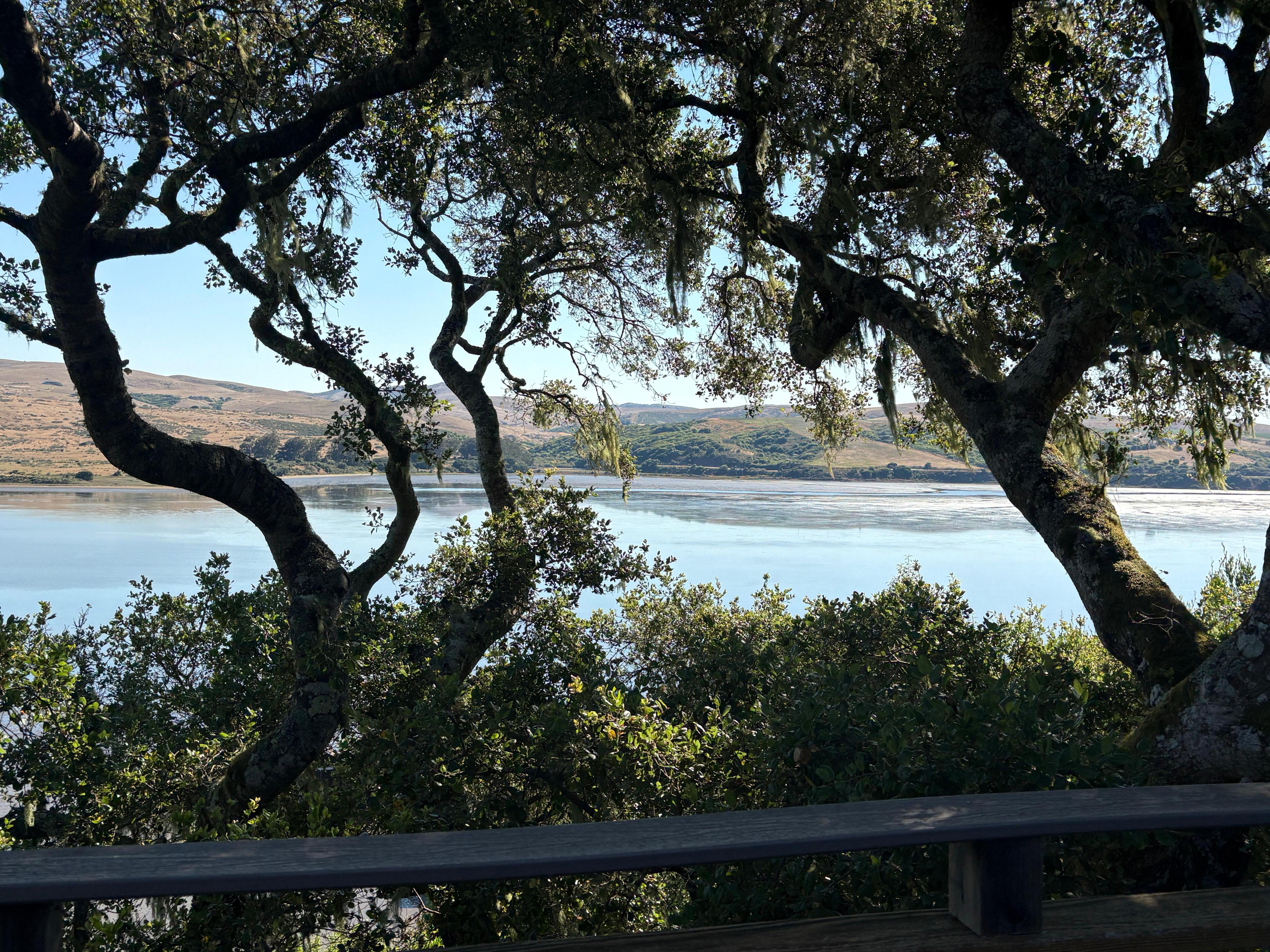 View From the Living Room and Deck