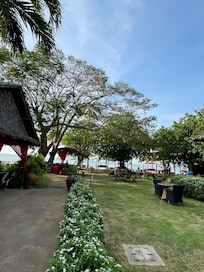 Haven