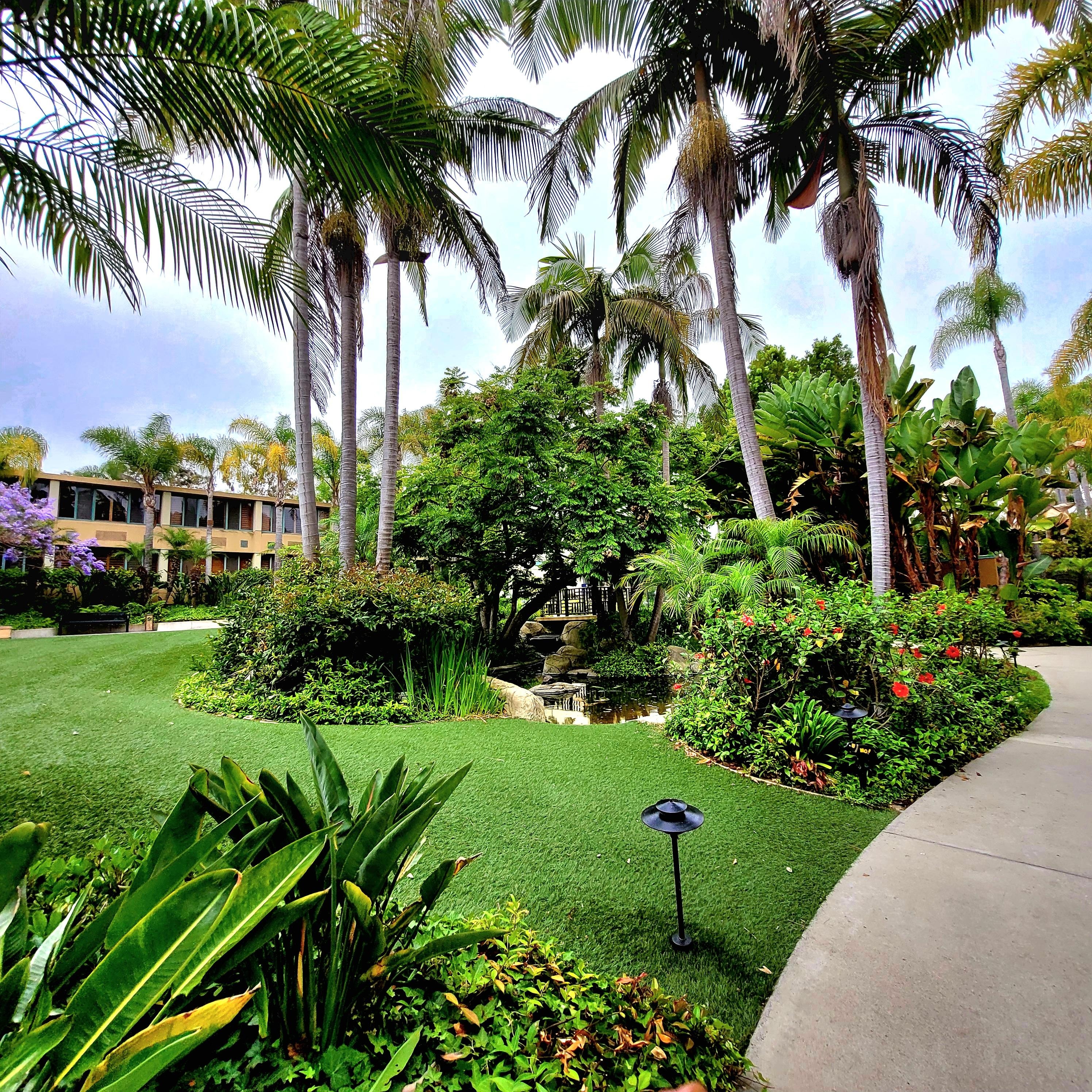 grounds