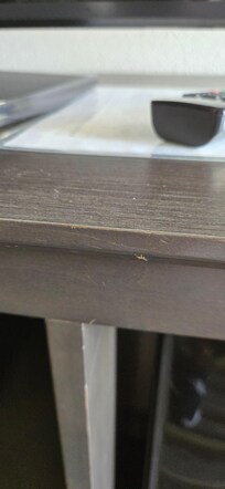One.of many ants