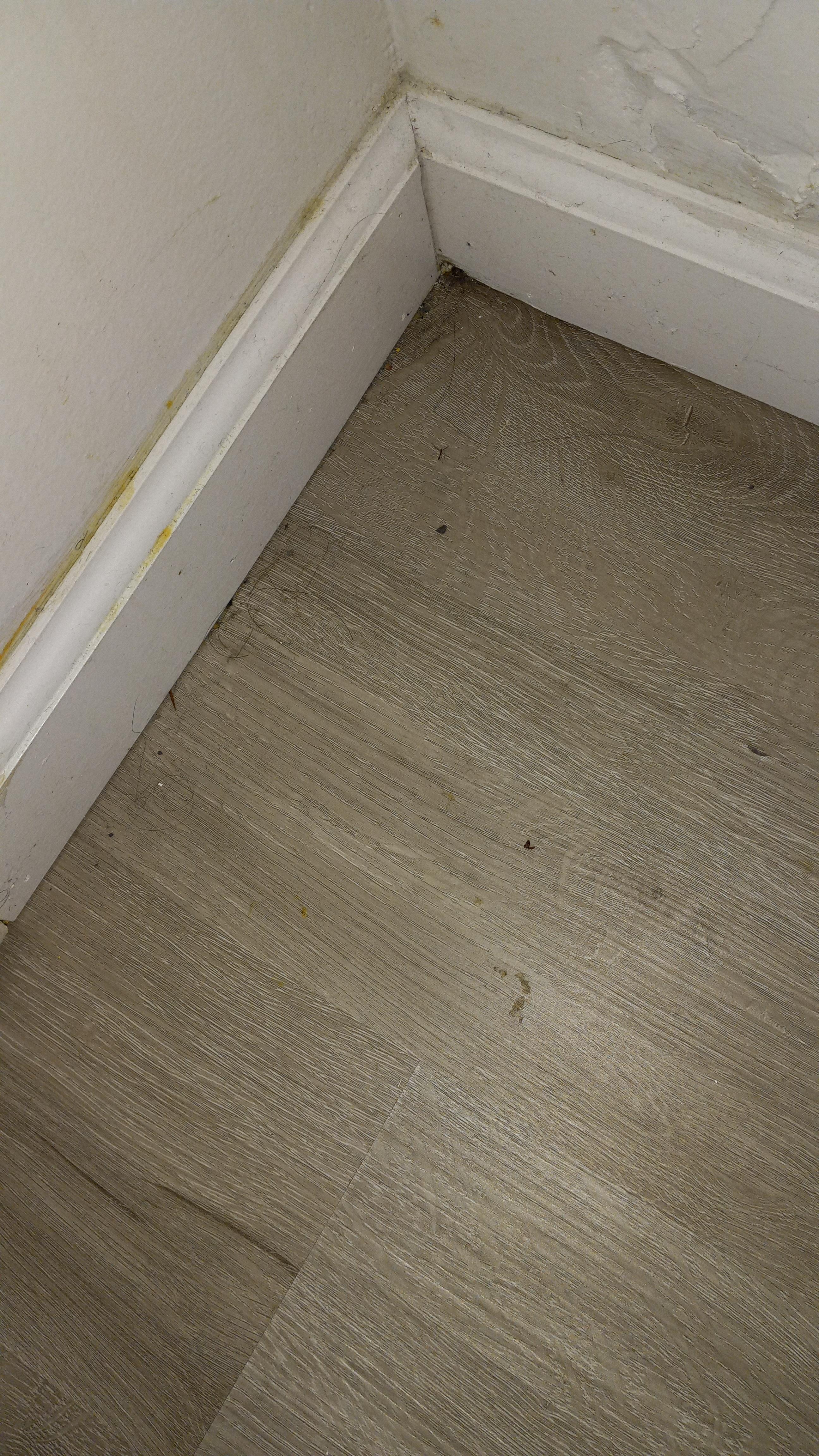 This is in the main bedroom area behind the door to the bathroom. Hair and a build up of dirt.