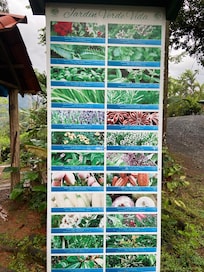 Herb garden on the property