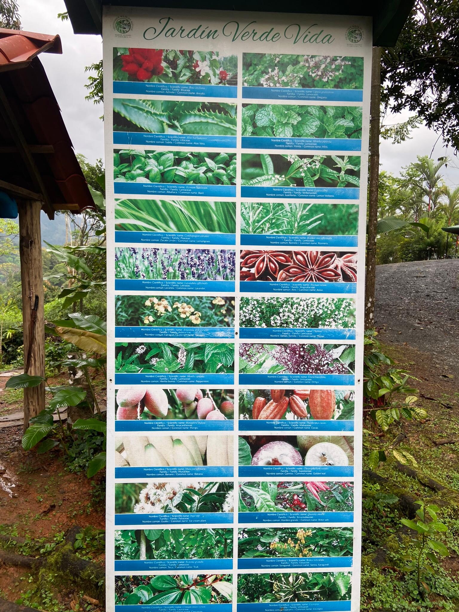 Herb garden on the property