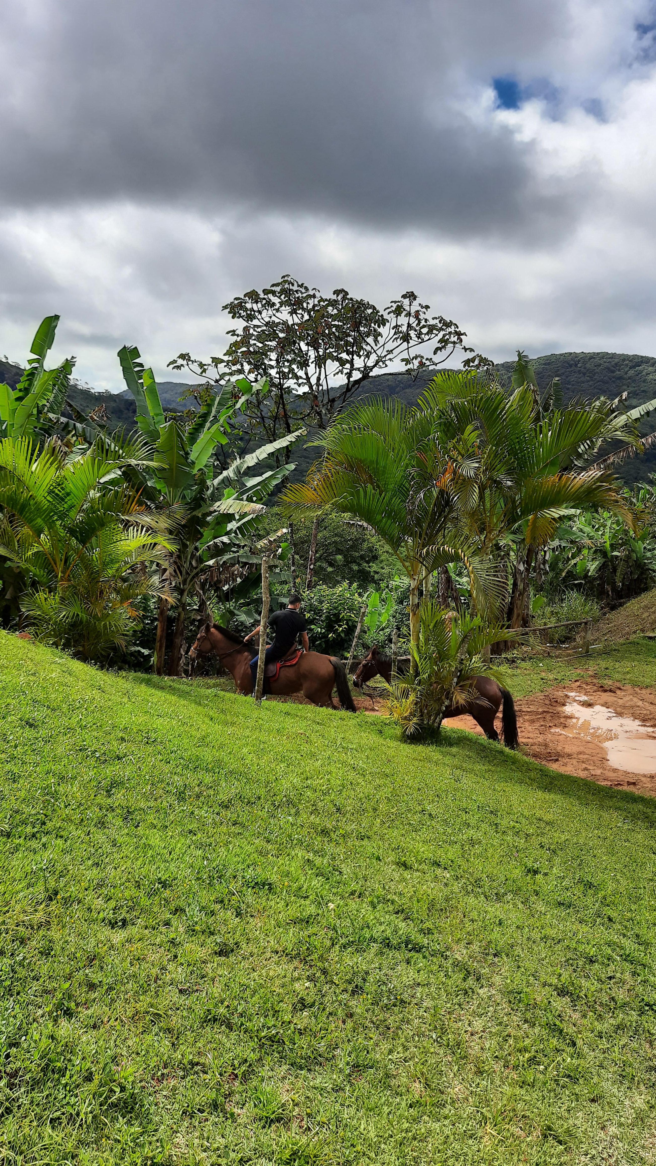 Se preparando oara andar de cavalo. E dentro tem uma queda de água da própria pousada