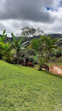 Se preparando oara andar de cavalo. E dentro tem uma queda de água da própria pousada