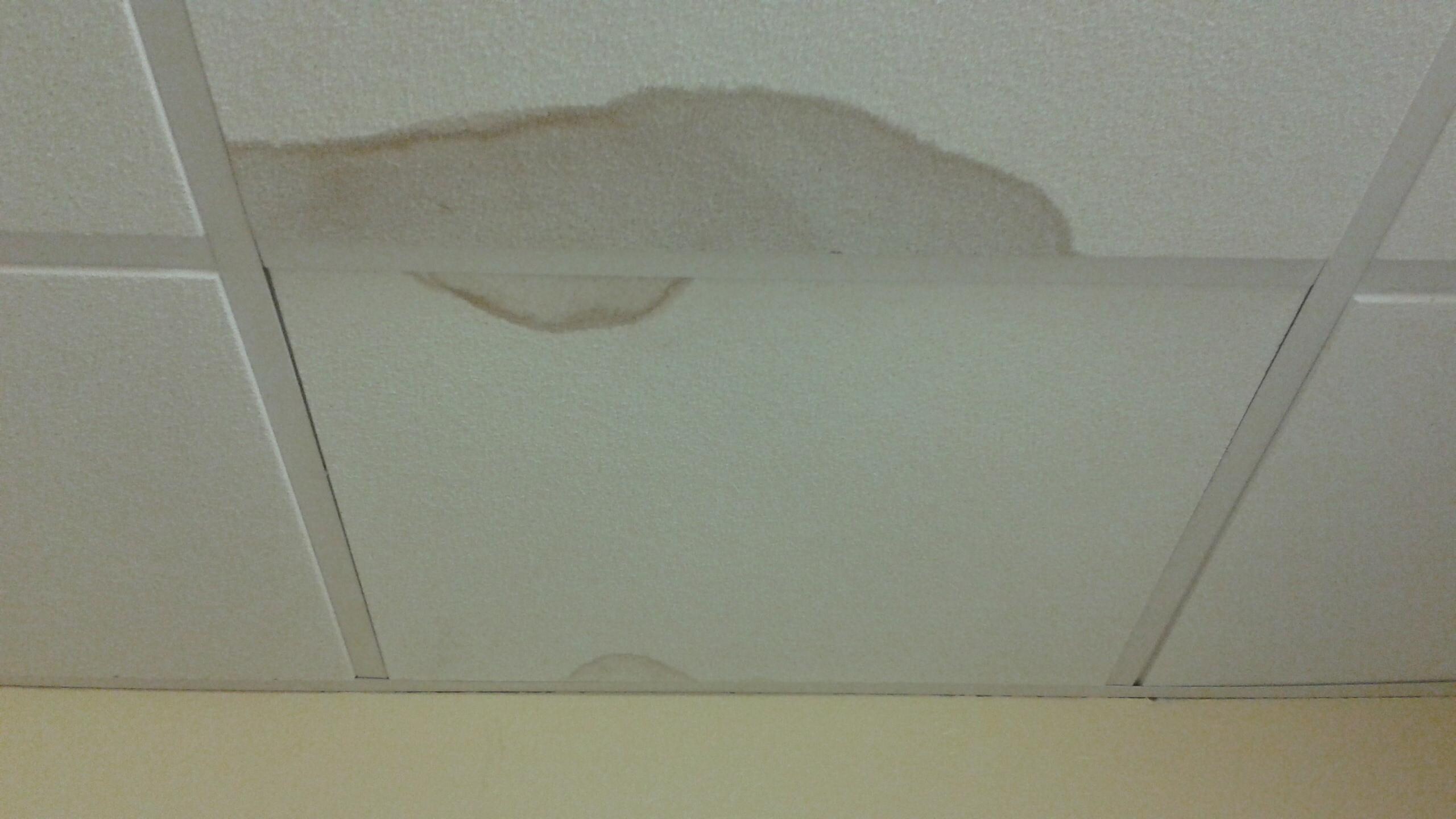 Broken toilet