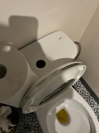 Not flushing is simpler than peeling the cover tank and flush