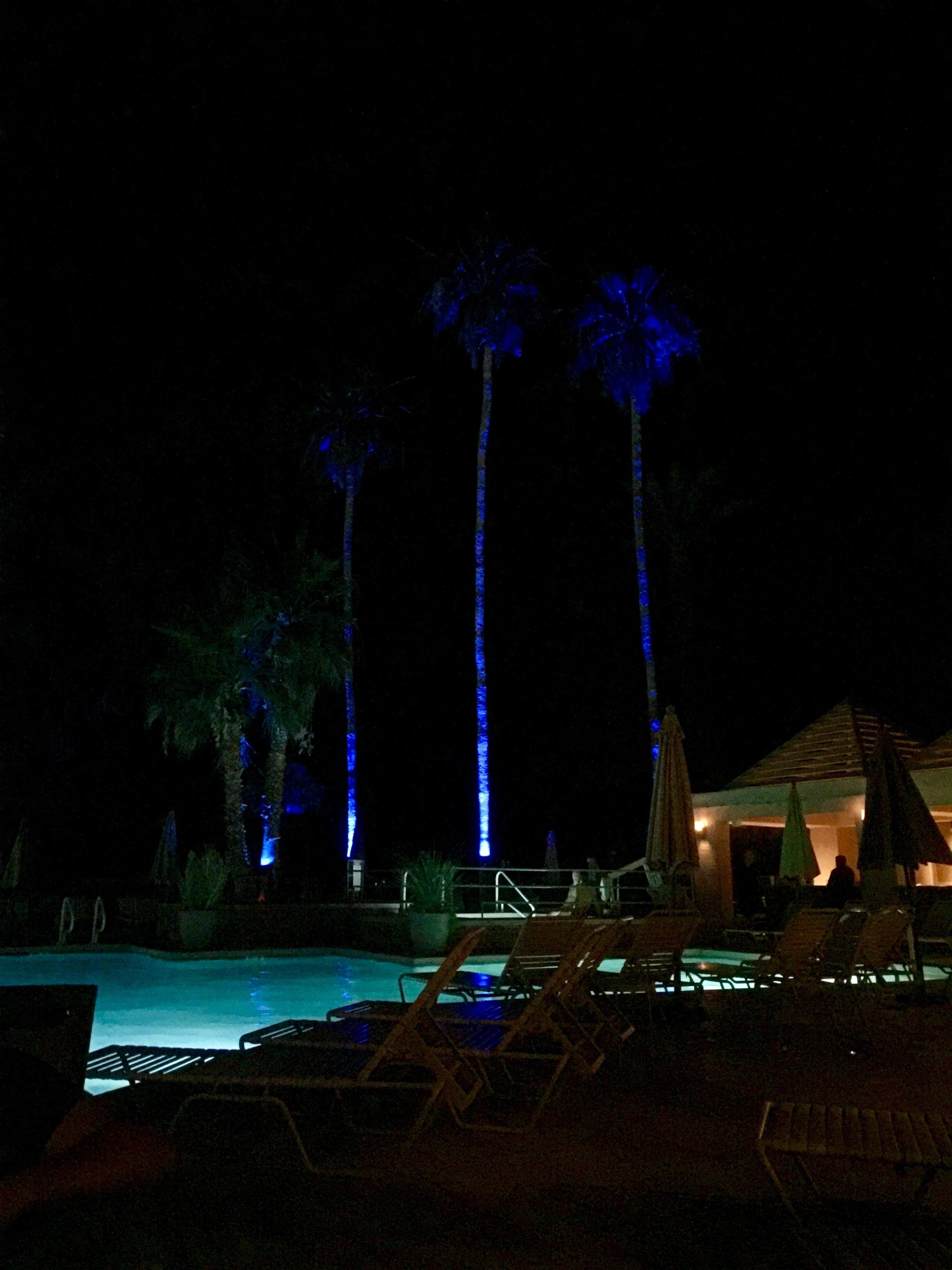 Evening lights