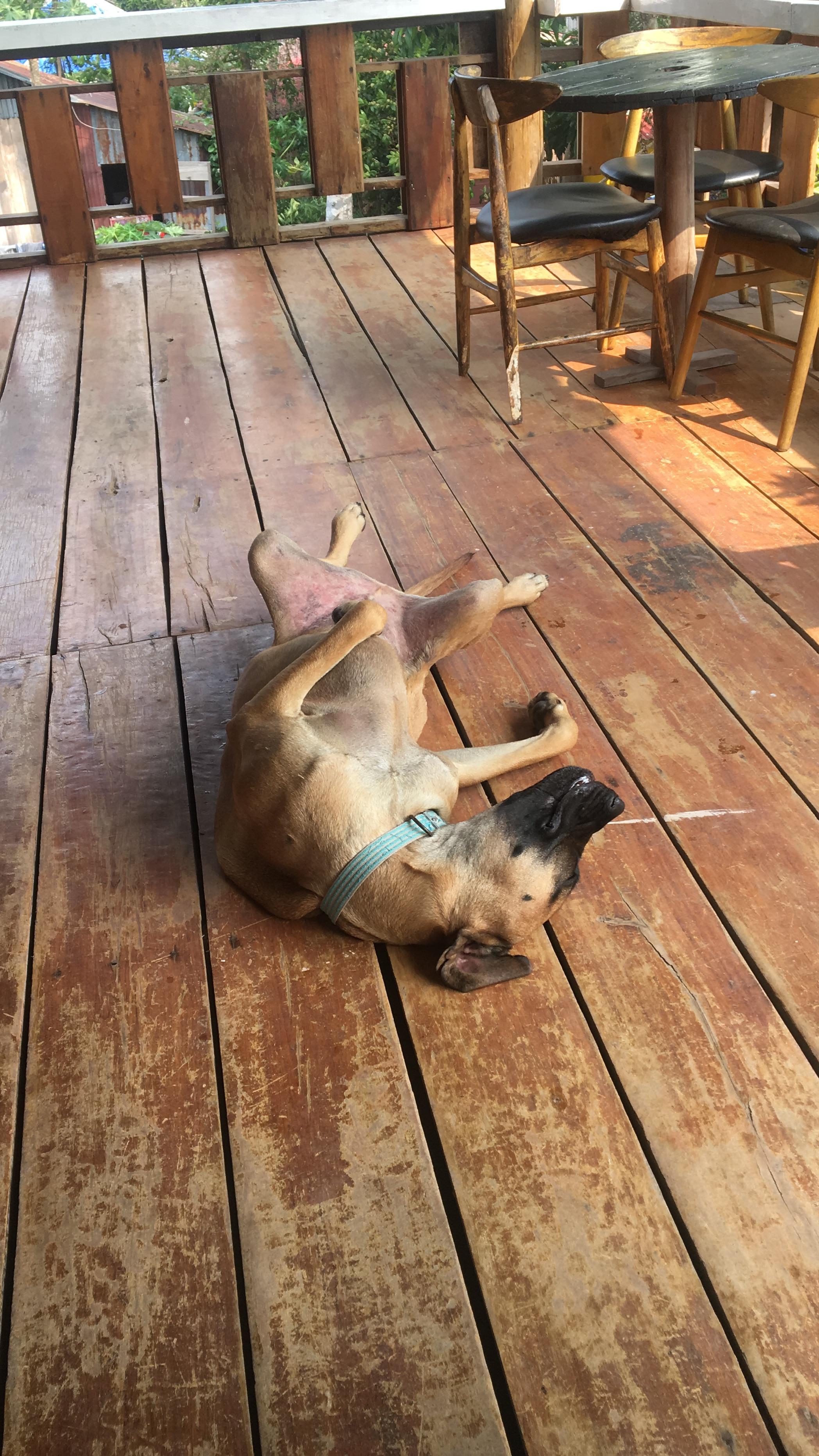 Goofy’s typical breakfast time pose. 