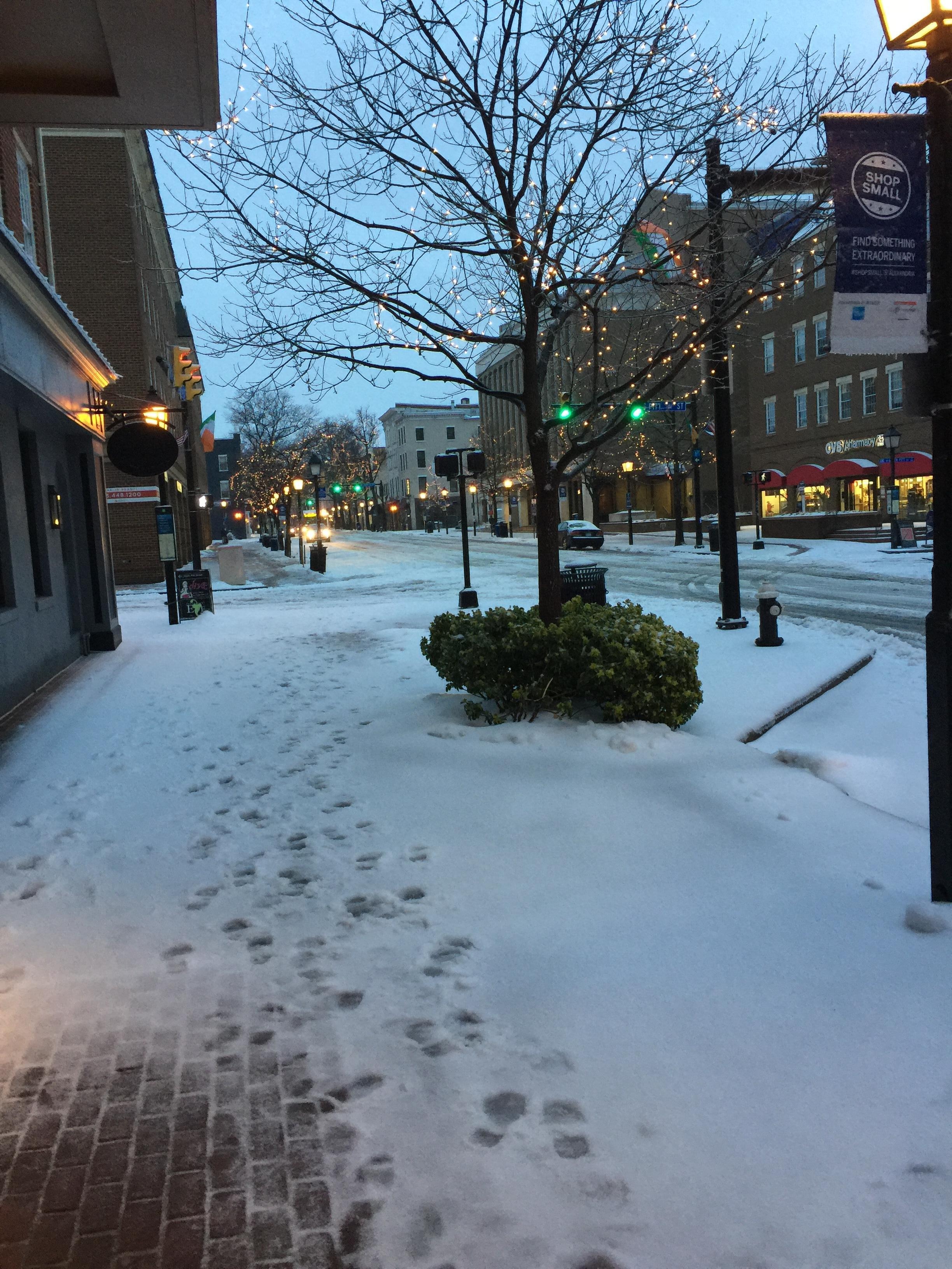 Stepping out to fresh snow!