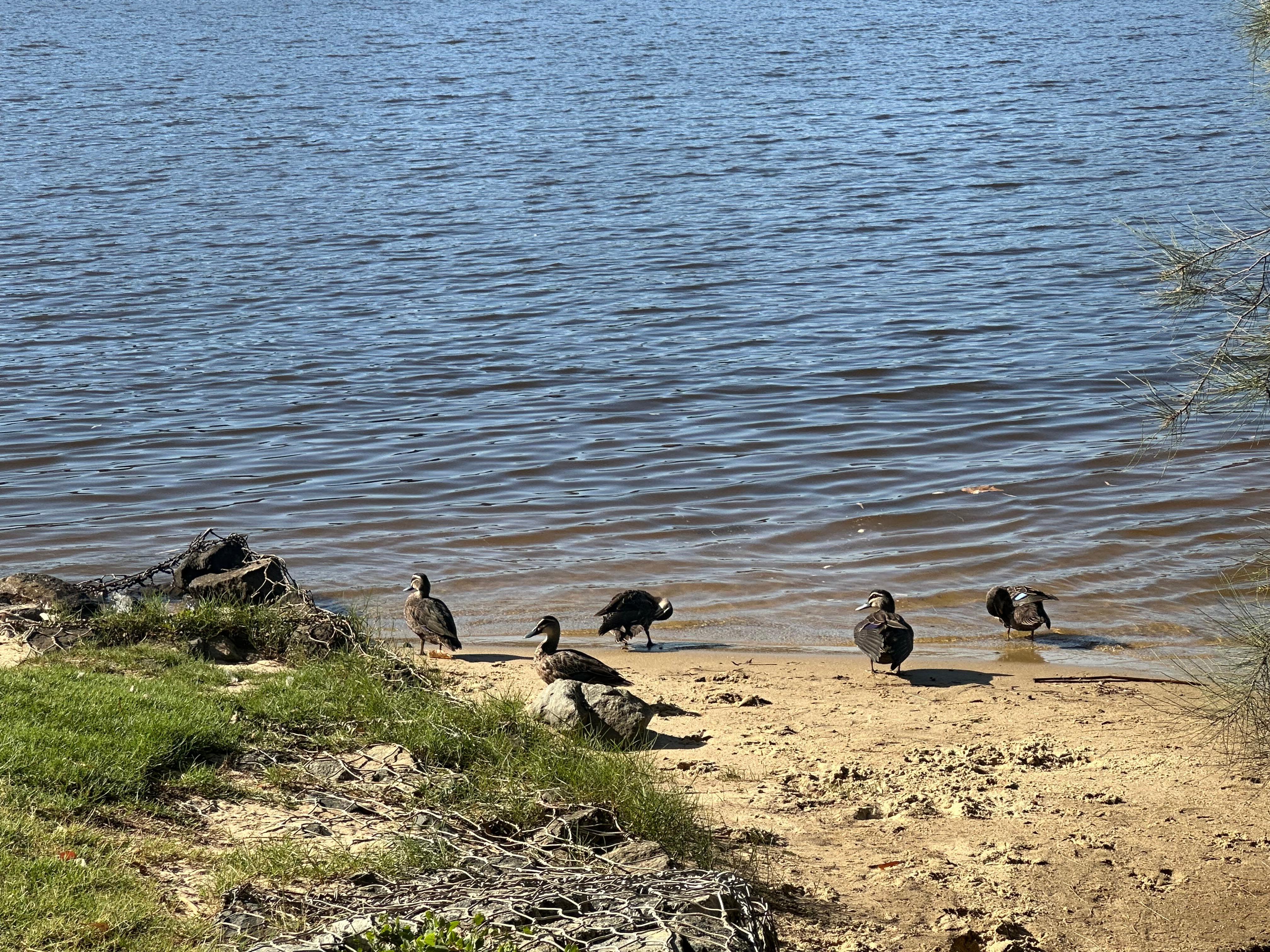 Nearby riverfront