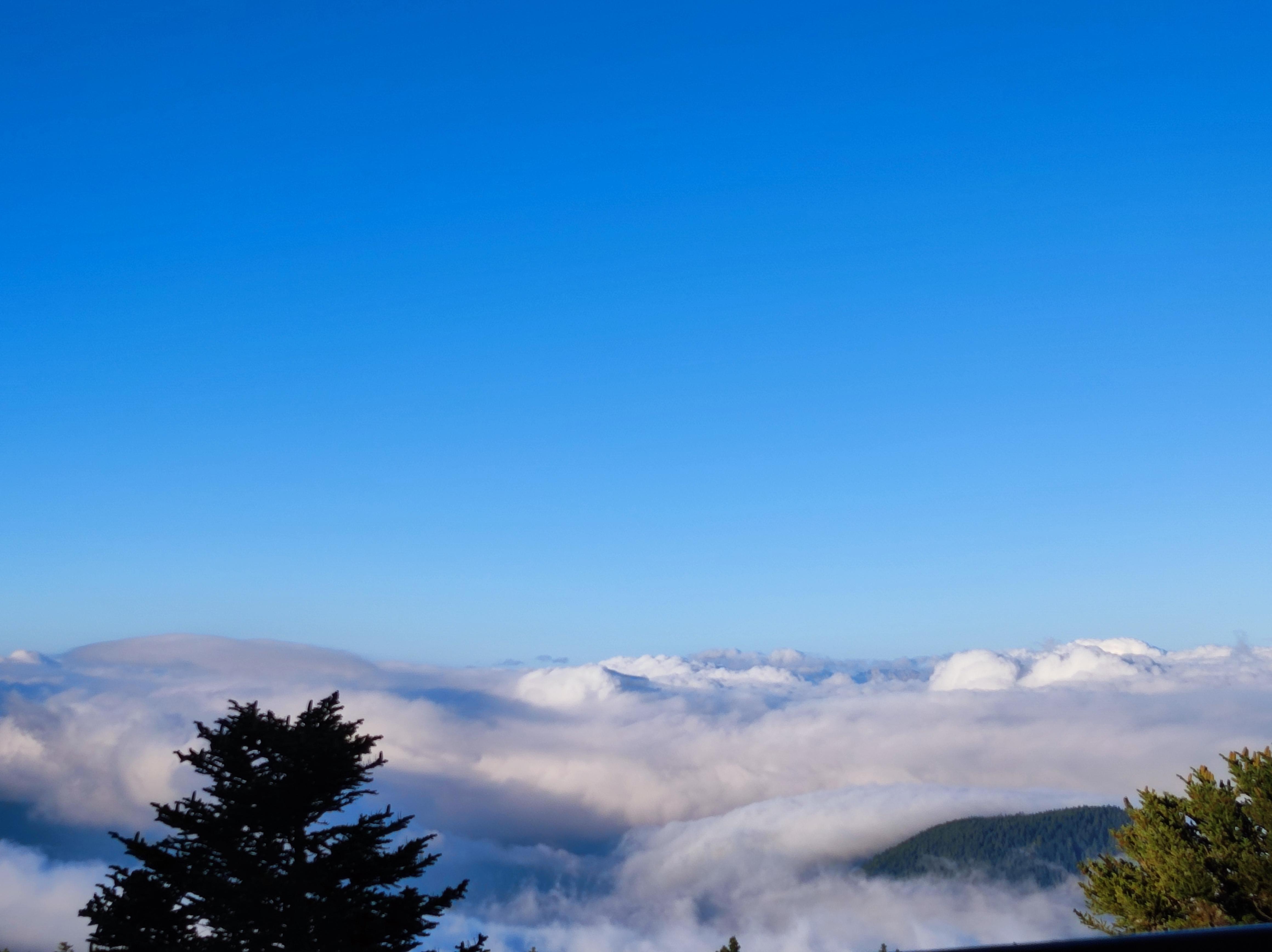 Vu de l'appartement le matin au réveil, un régal des yeux et du cœur 