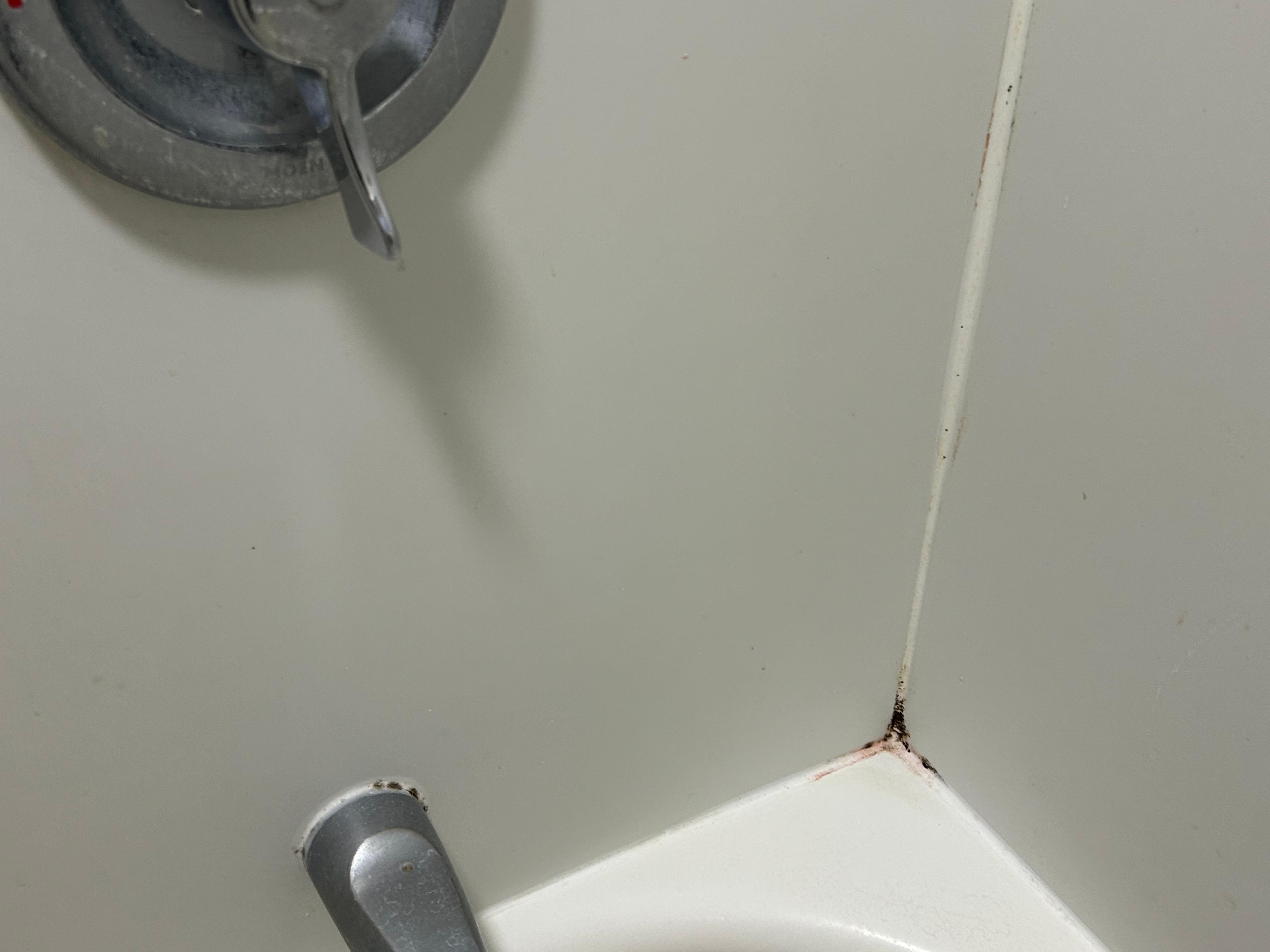 Faucet had soap, scum and corners of shower brown buildup