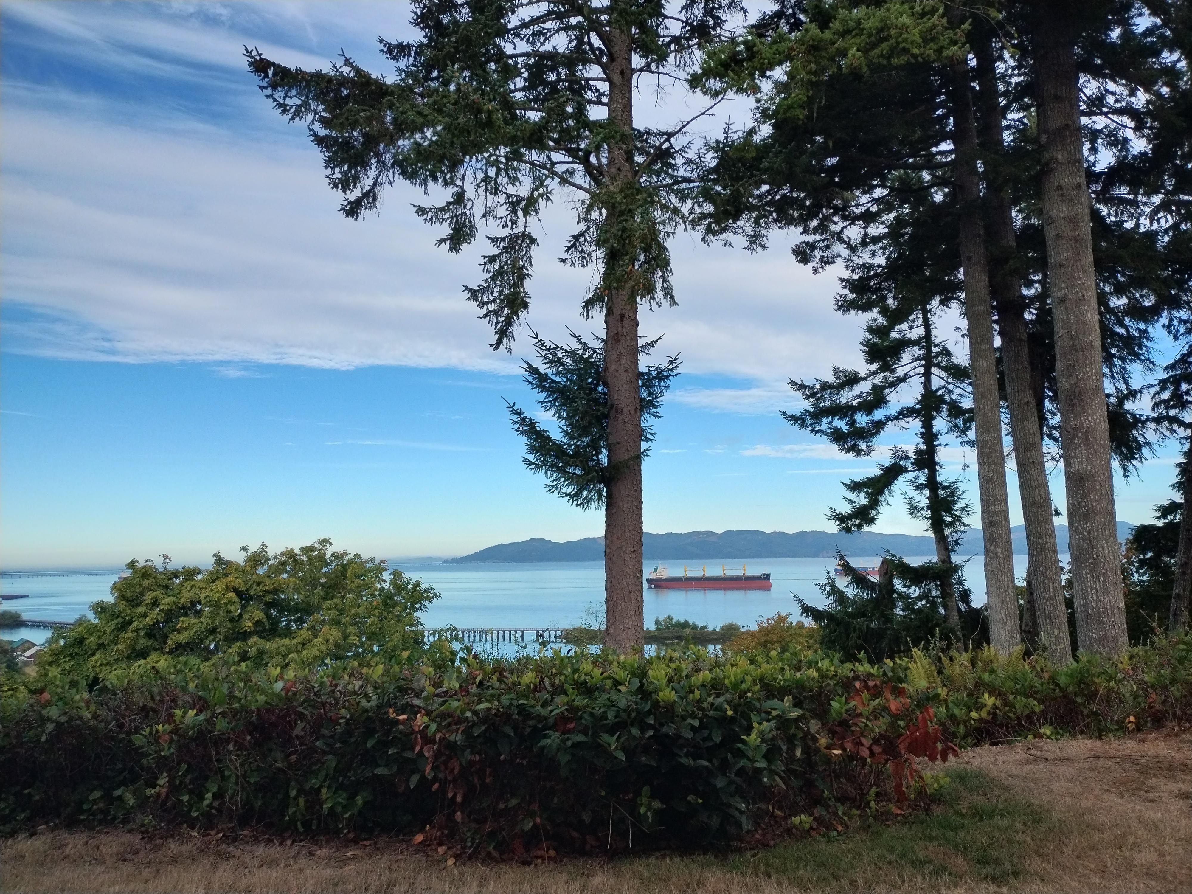 View from patio outside room