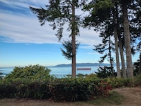 View from patio outside room