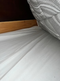 Bugs found under mattress.