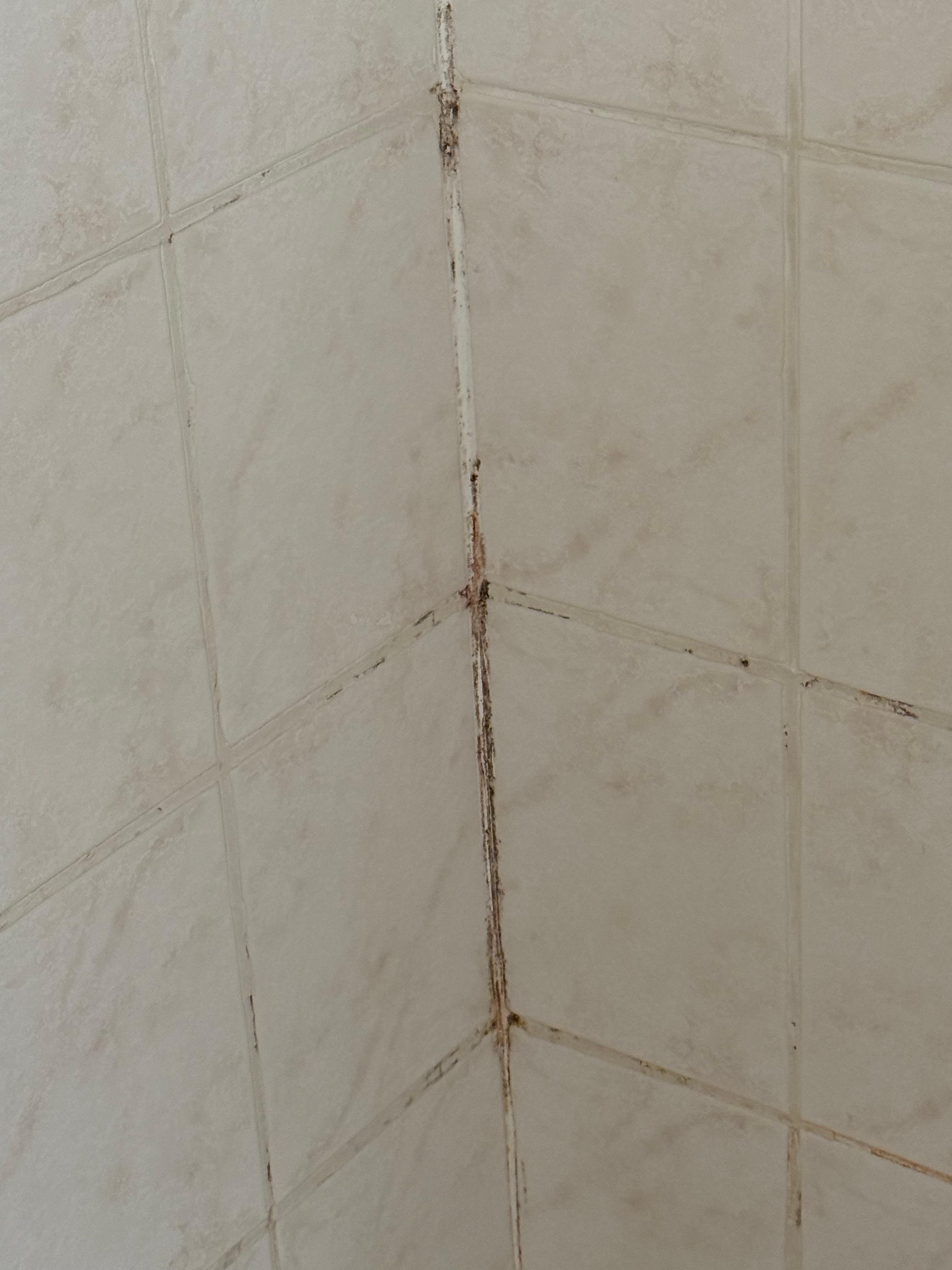 Moldy shower!